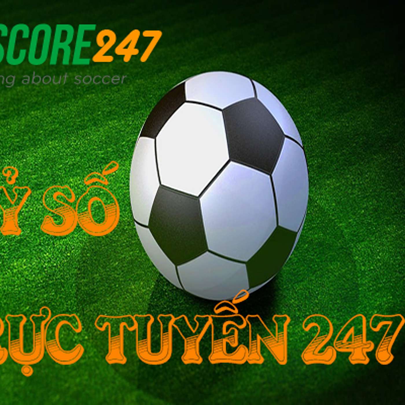 Livescore 247 - Cap nhat ty so bong da truc tuyen hom nay