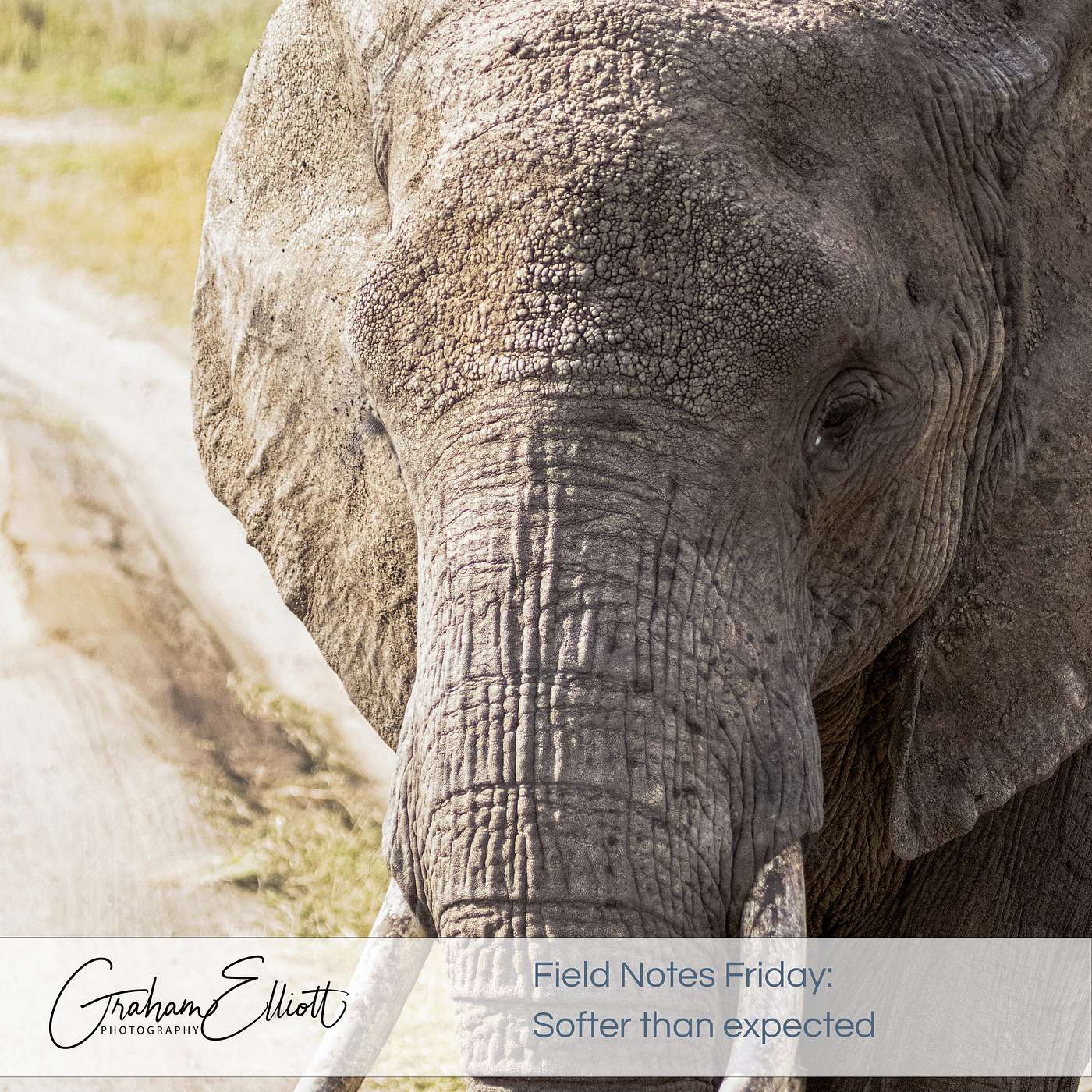 Why your photographs don't look sharp