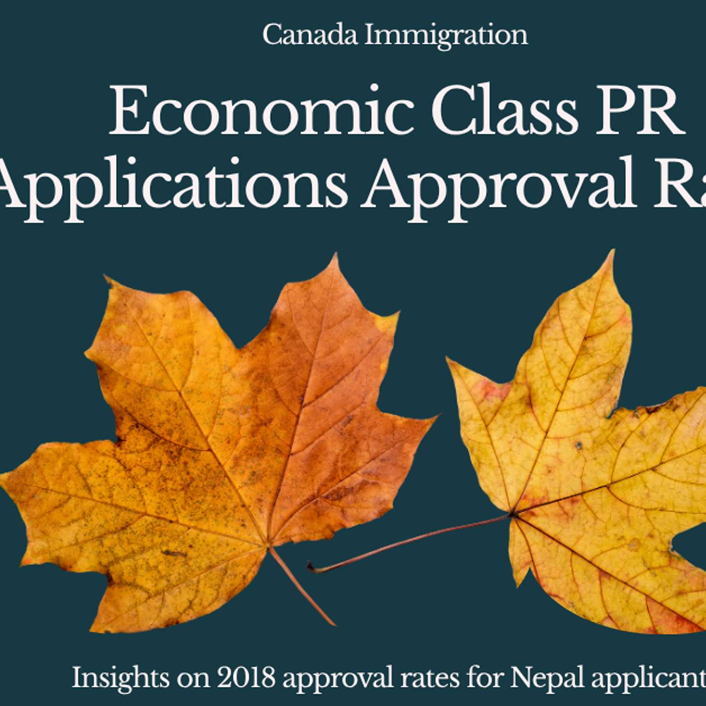 Canada Immigration Economic Class PR Applications 2018 for Nepal — Approval Rates
