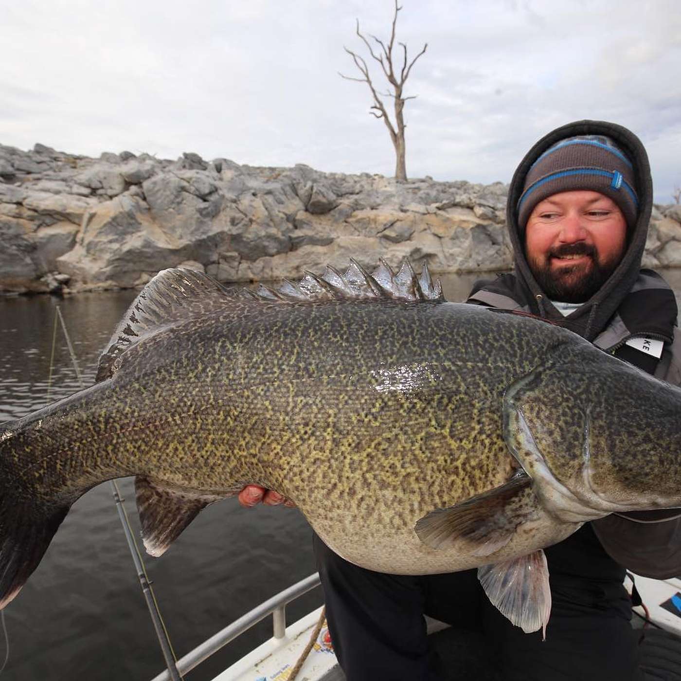 All The Gear But No Idea - The South Australian Fishing Podcast
