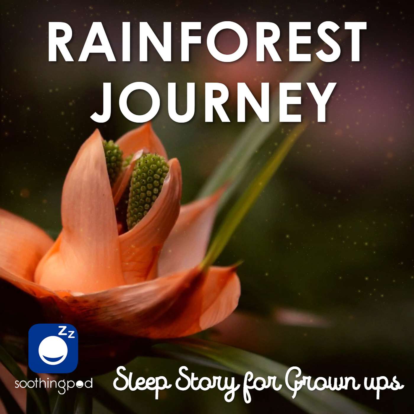 A Journey through Magical Rainforest | Edutainment Relaxing Sleep Story | Bedtime Sleep Stories