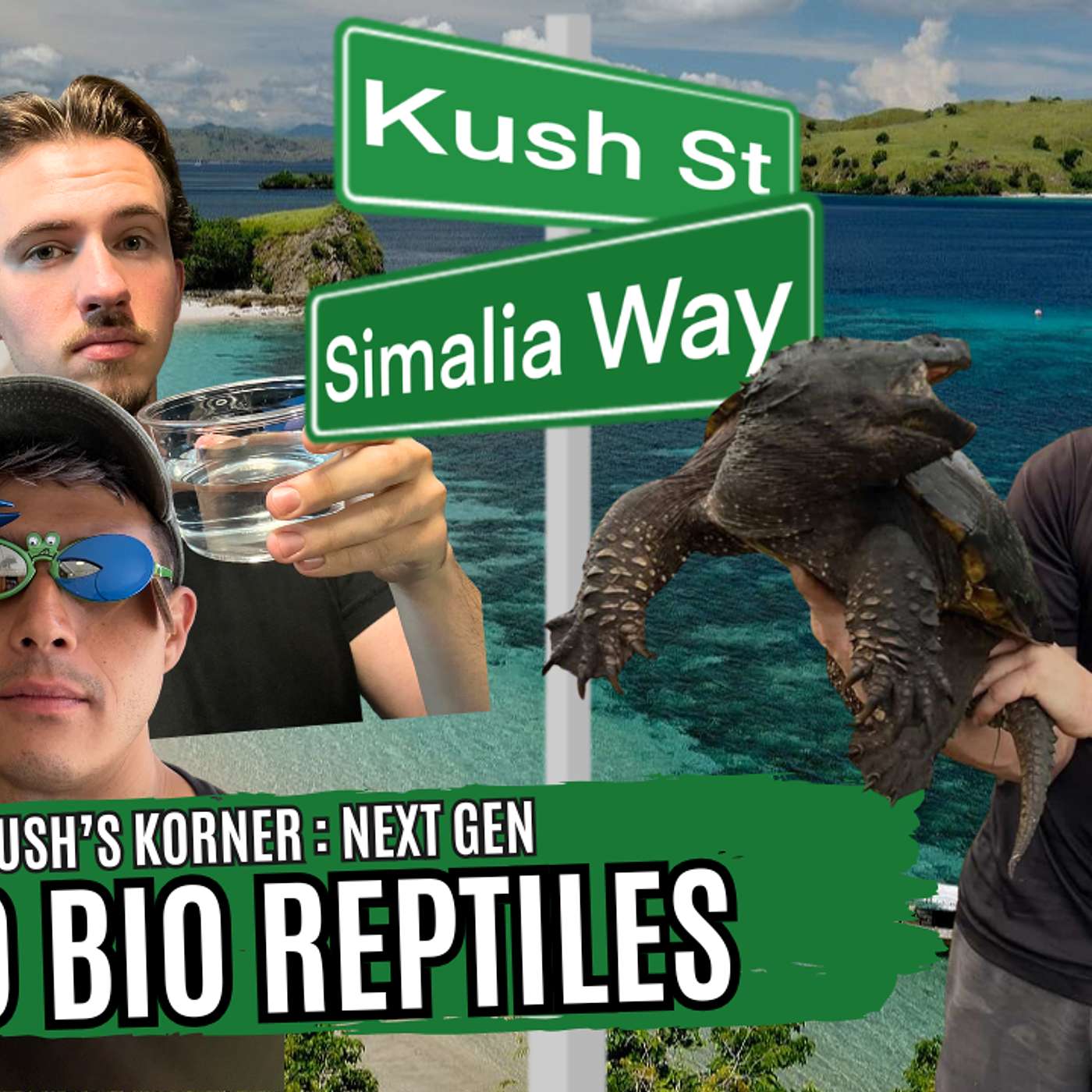 Trap Talk Reptile Network