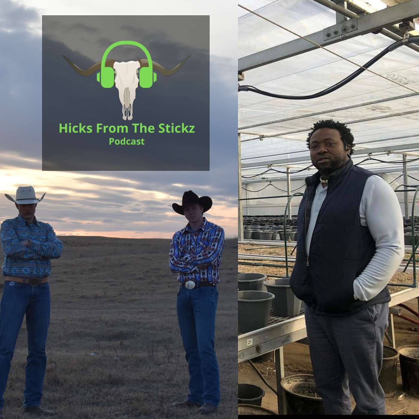 Hicks From The Stickz