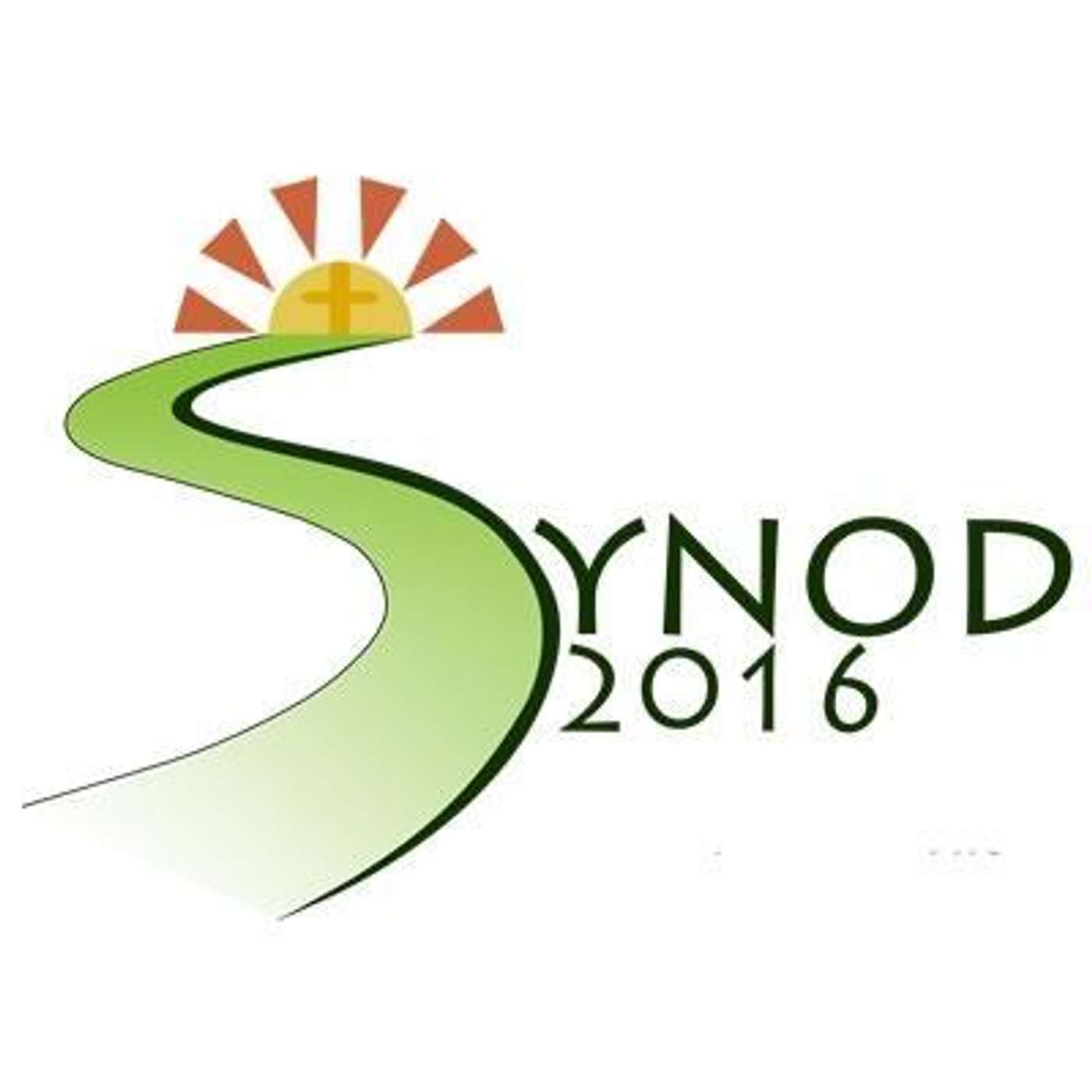 Limerick Diocesan Synod 2015 Update - 24 May 2015 (S05E26b)(SS102fm podcast excerpt) episode artwork