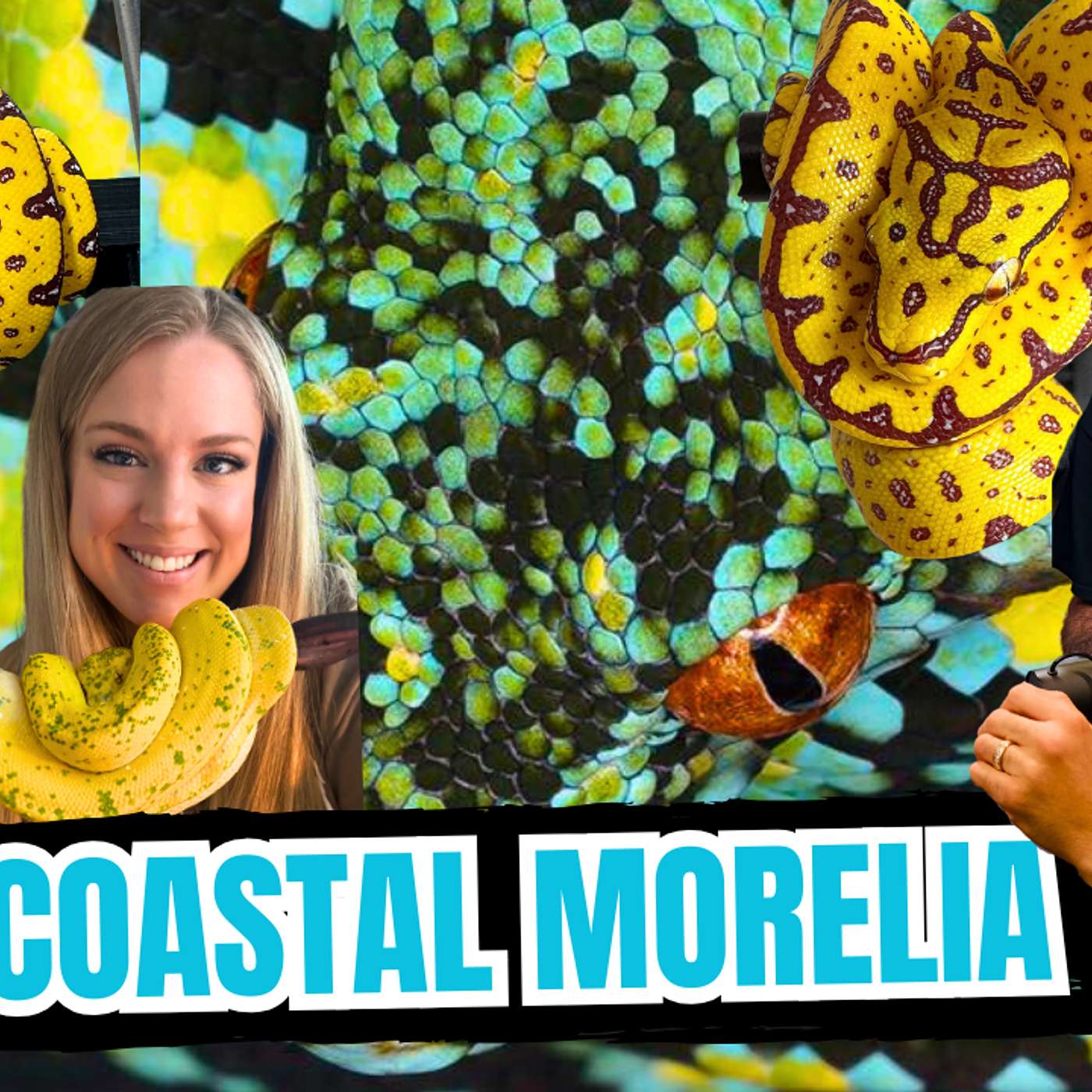 Why You Should STOP Hating On Yellow Neonates  | All In The Tree Tuesday Live