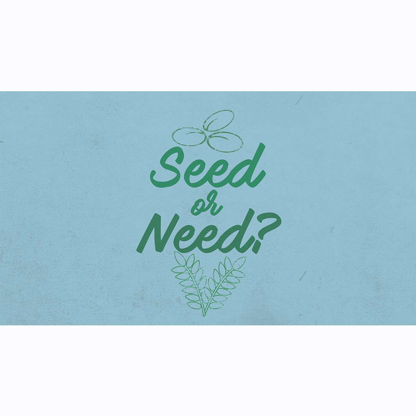 Pastor Bryan - 11/12/2017- Seed or Need