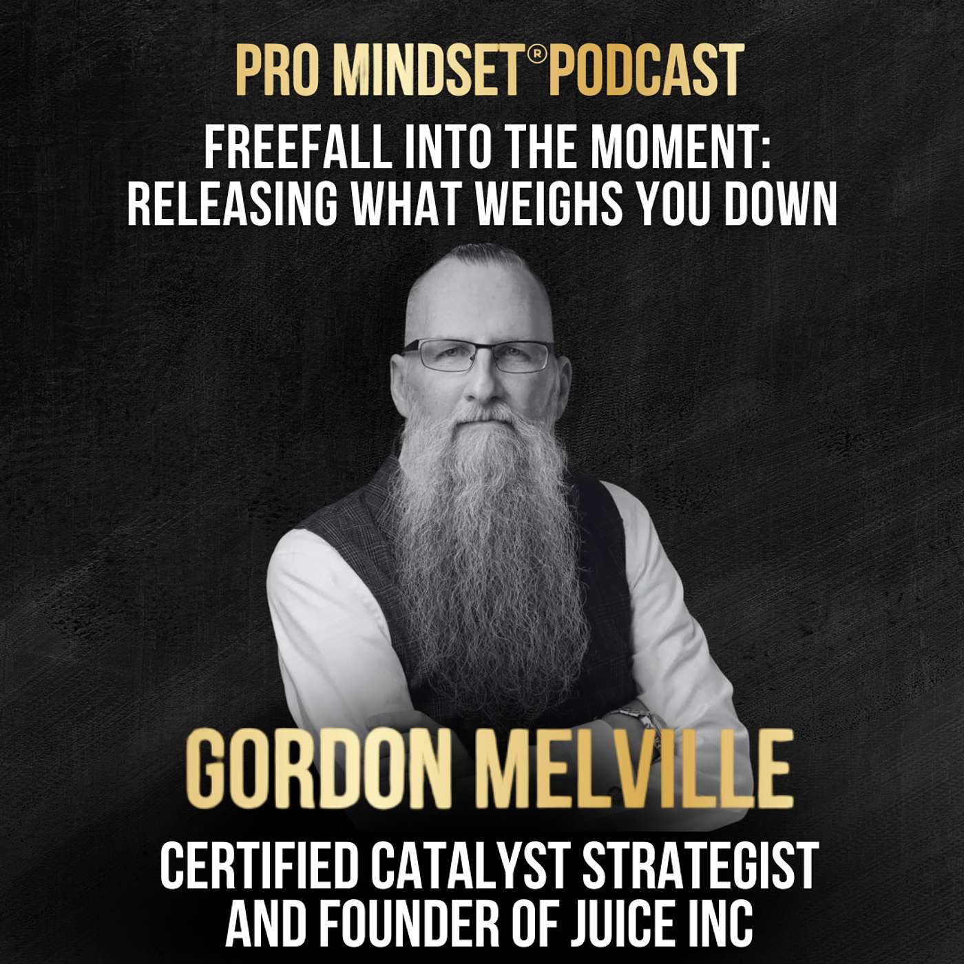 Pro Mindset® Podcast
