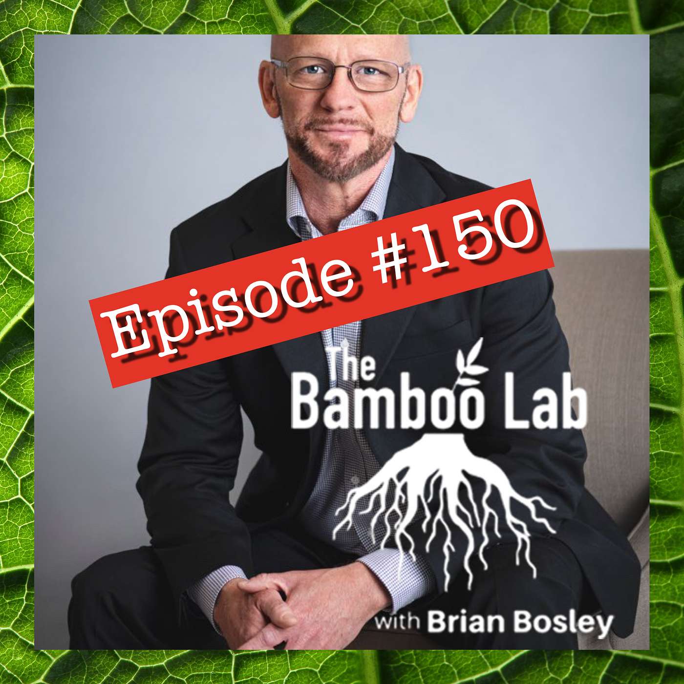The Bamboo Lab Podcast