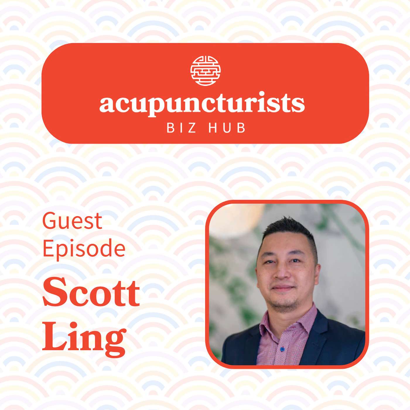 The Acupuncturists Biz Hub