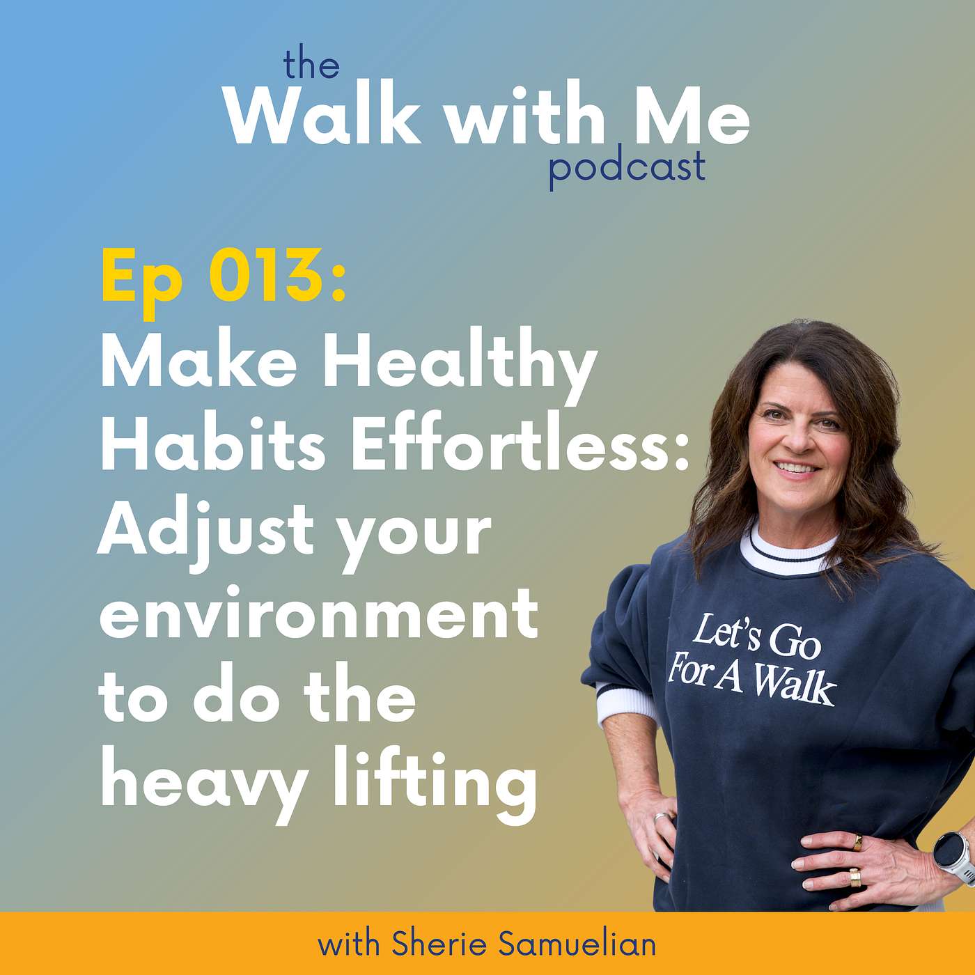 013: Make Healthy Habits Effortless: Adjust your environment to do the heavy lifting