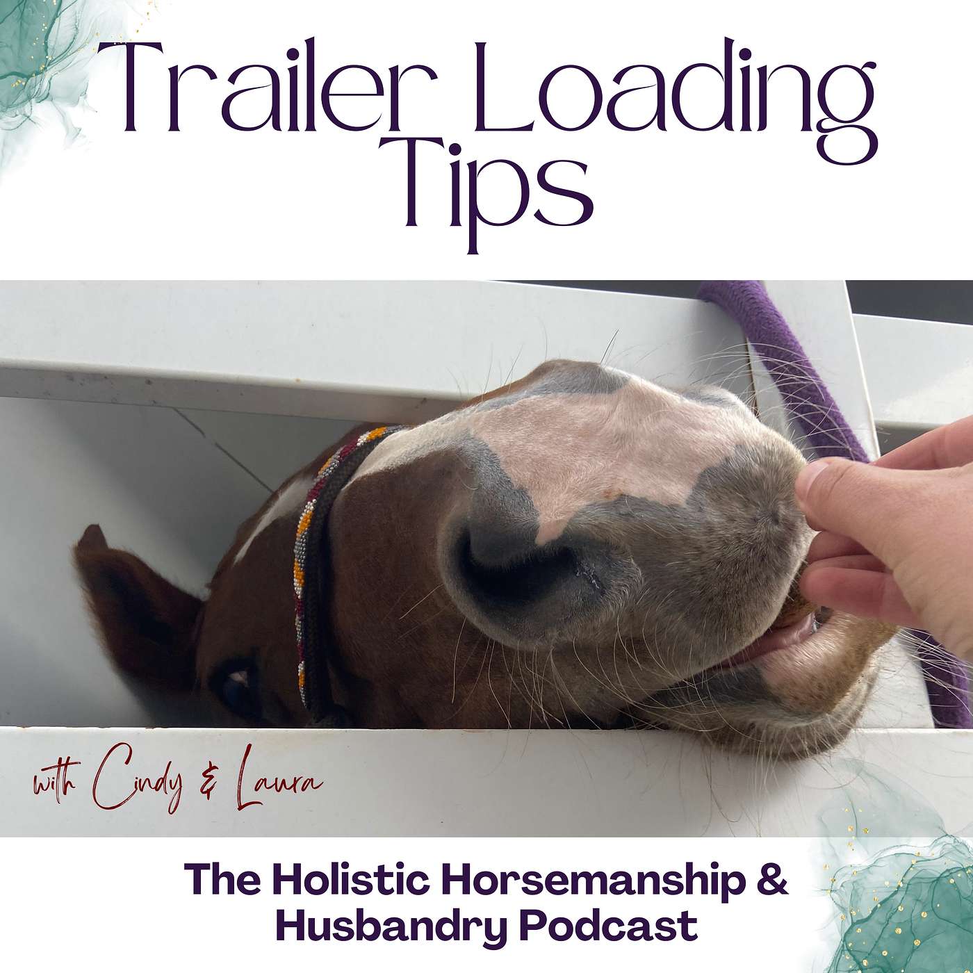 The Holistic Horsemanship and Husbandry Podcast