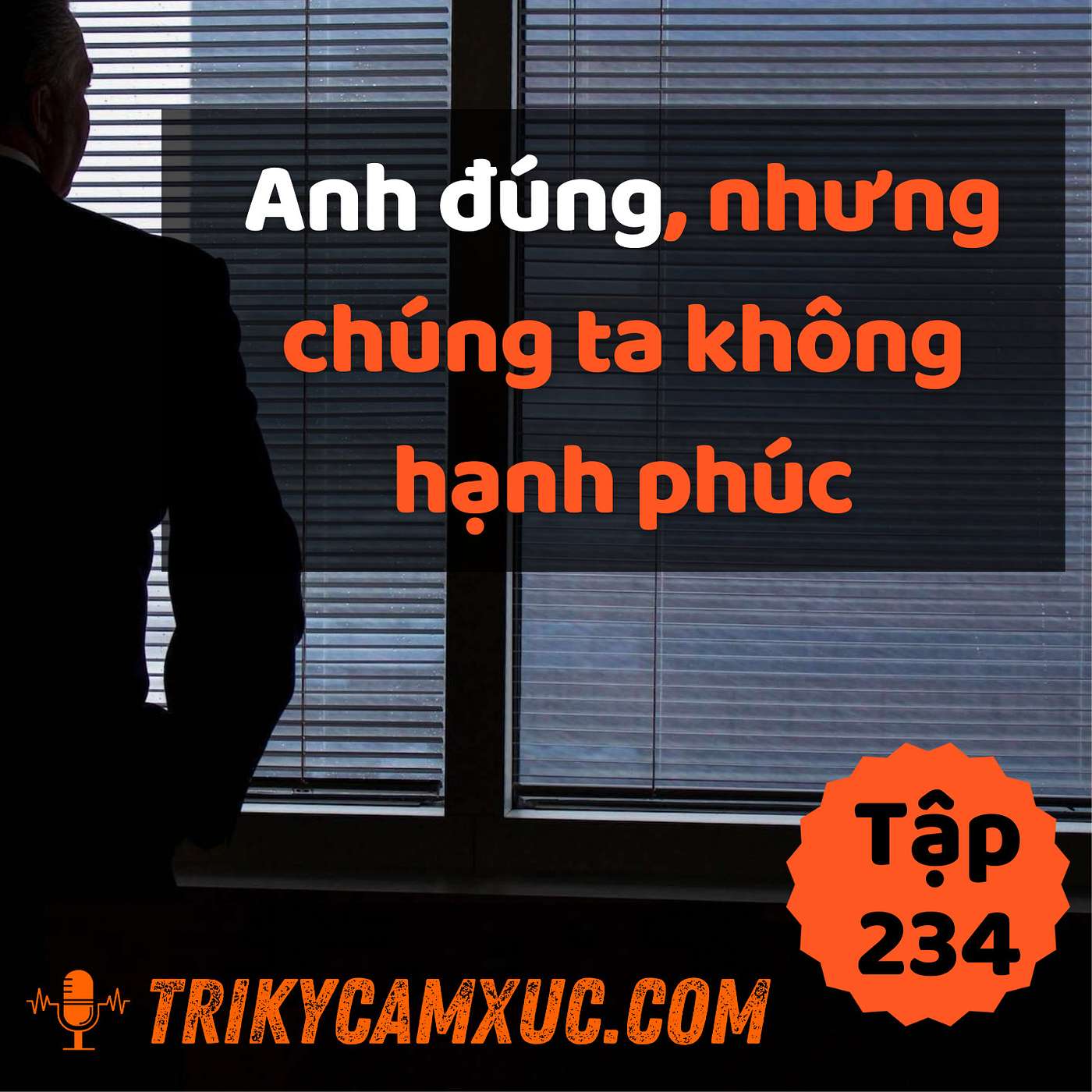 Anh Đúng, Nhưng Chúng Ta Không Hạnh Phúc... - Tri kỷ cảm xúc #234