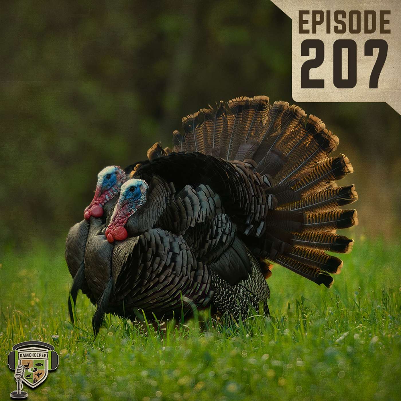 EP:207 | Talking Turkey with Tes Randle Jolly