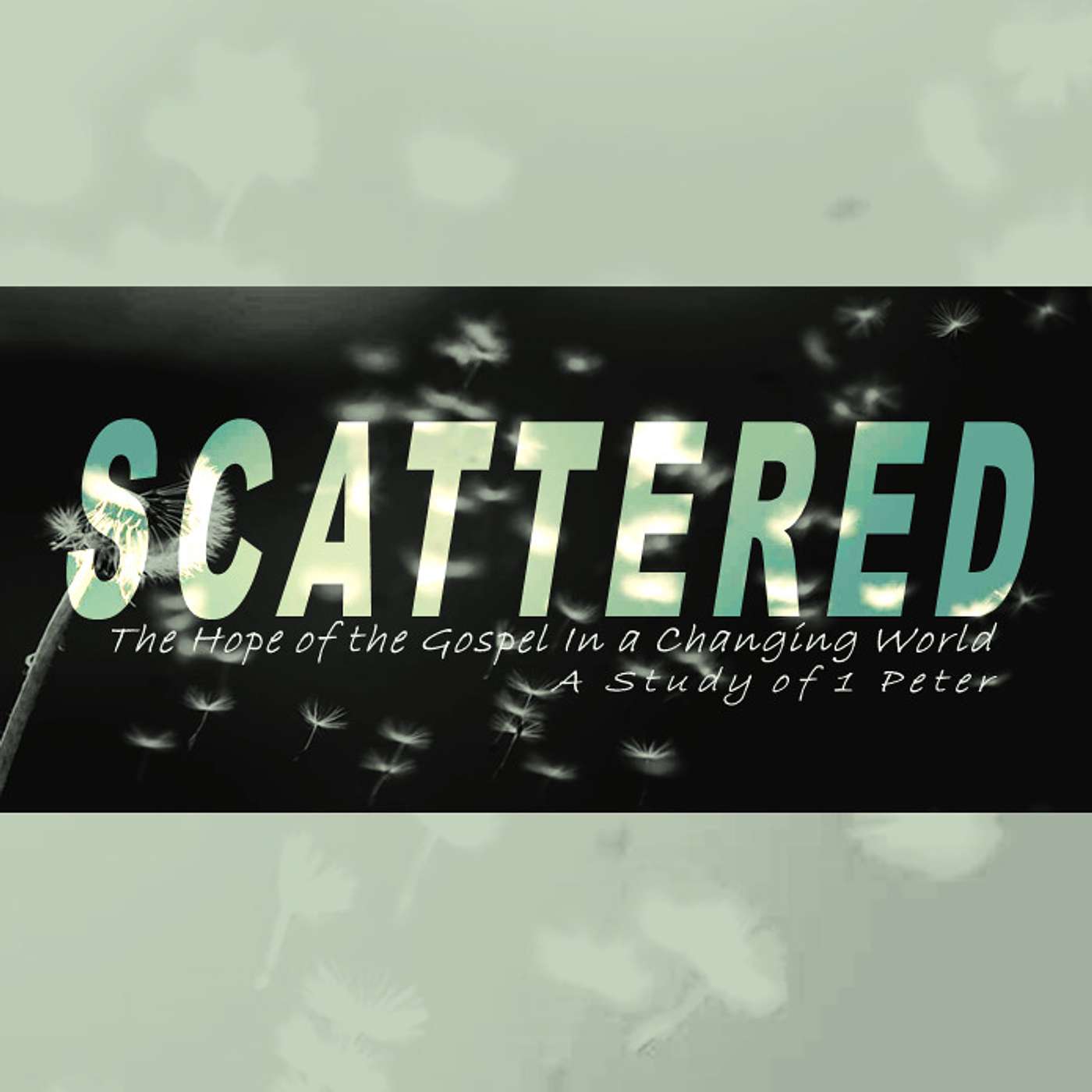 Orchard Community Church Sermon Audio