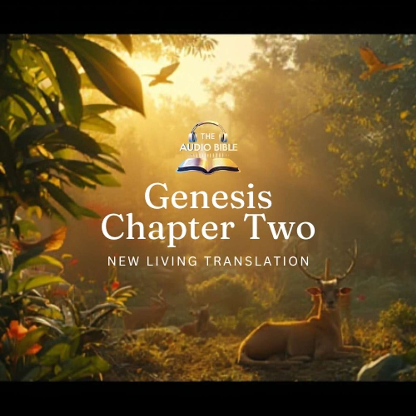 Genesis Chapter Two - NLT