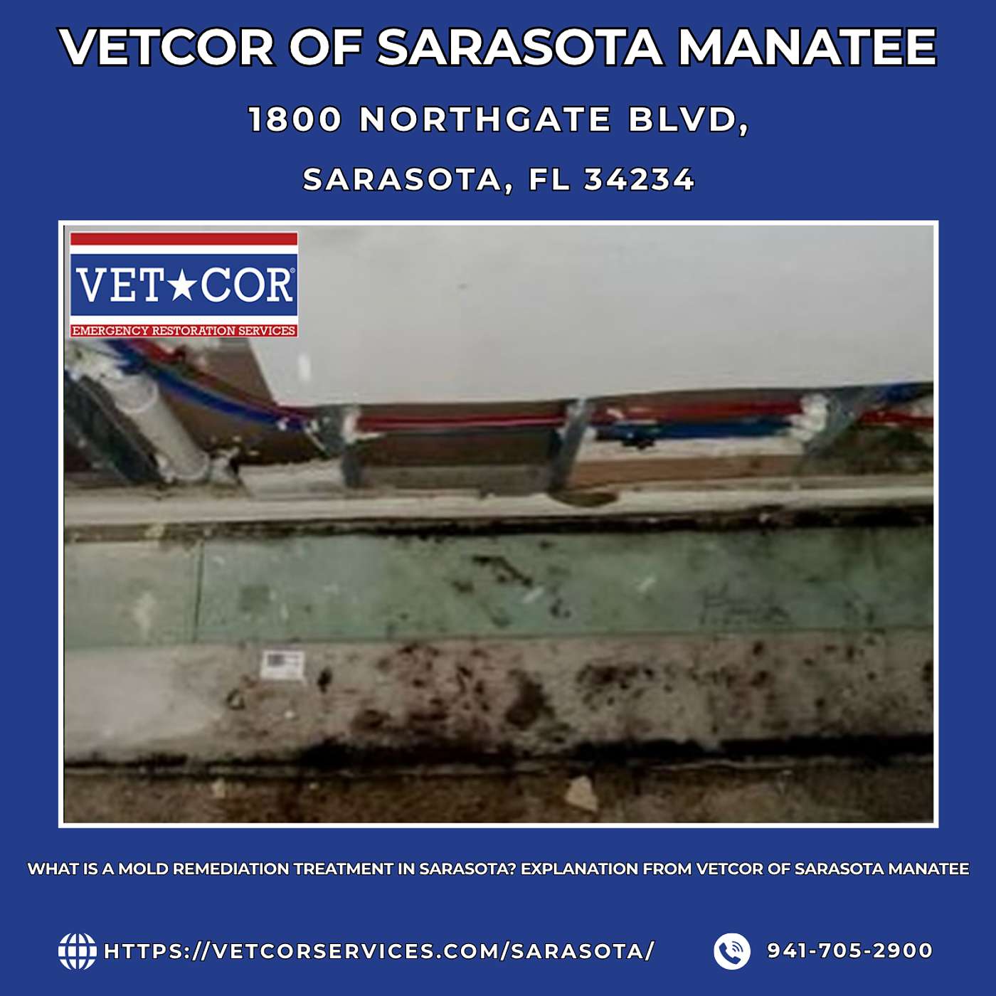 What Is a Mold Remediation Treatment in Sarasota? Explanation From VetCor of Sarasota Manatee episode artwork