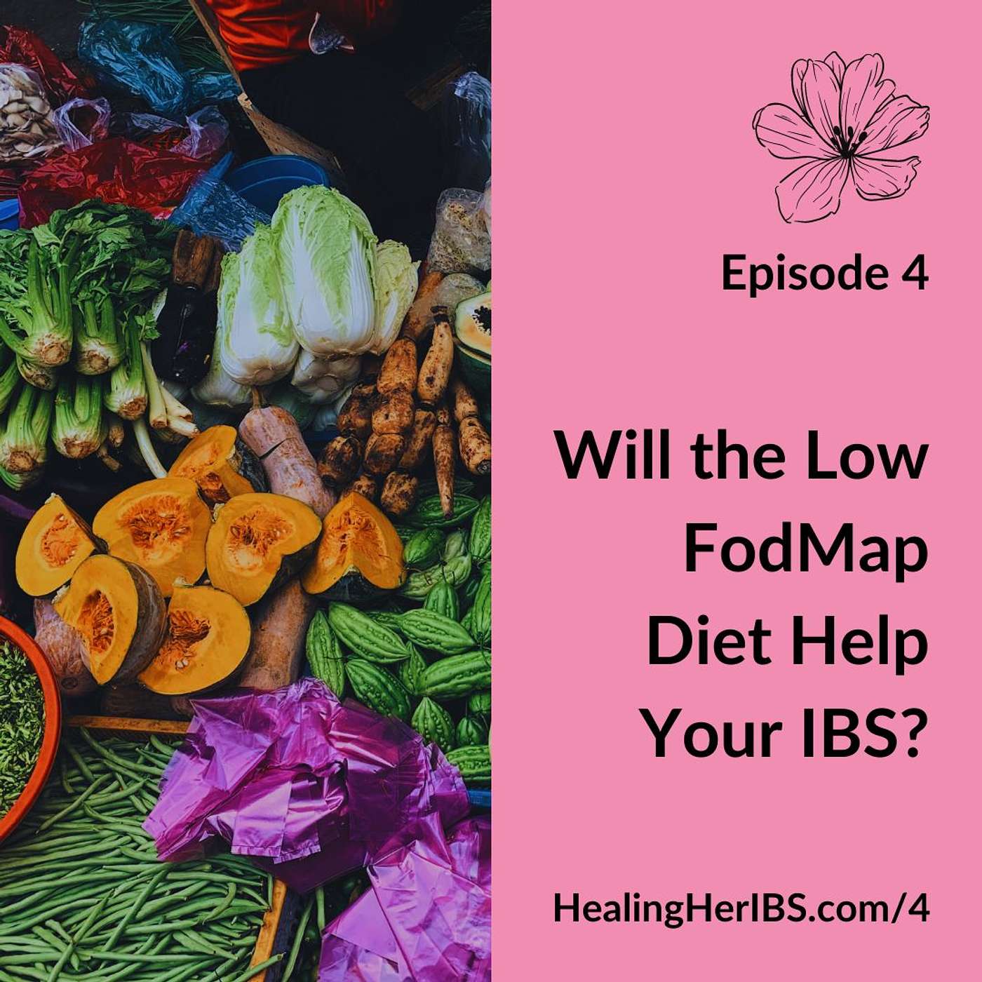 Healing Her IBS