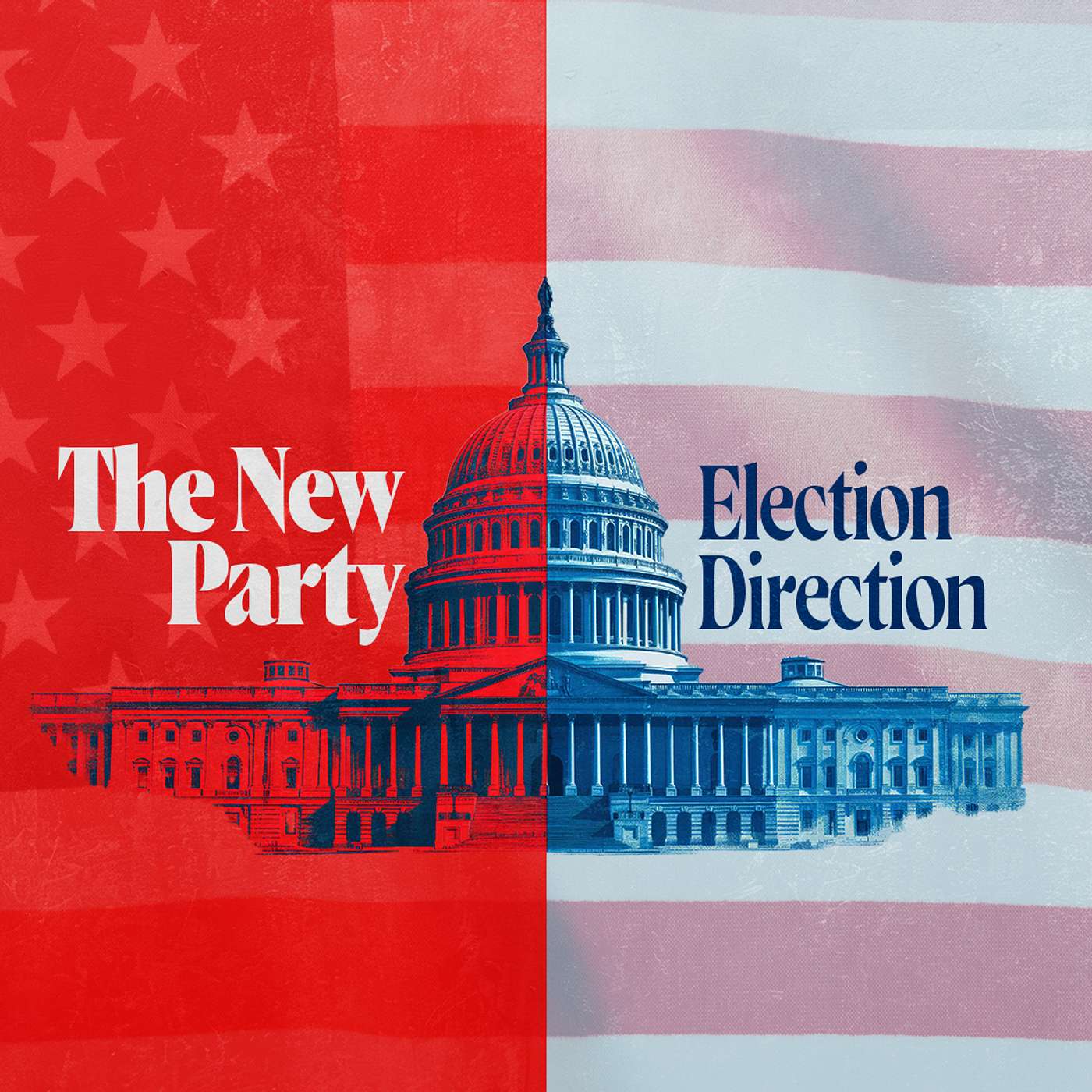 Election Direction: The New Party