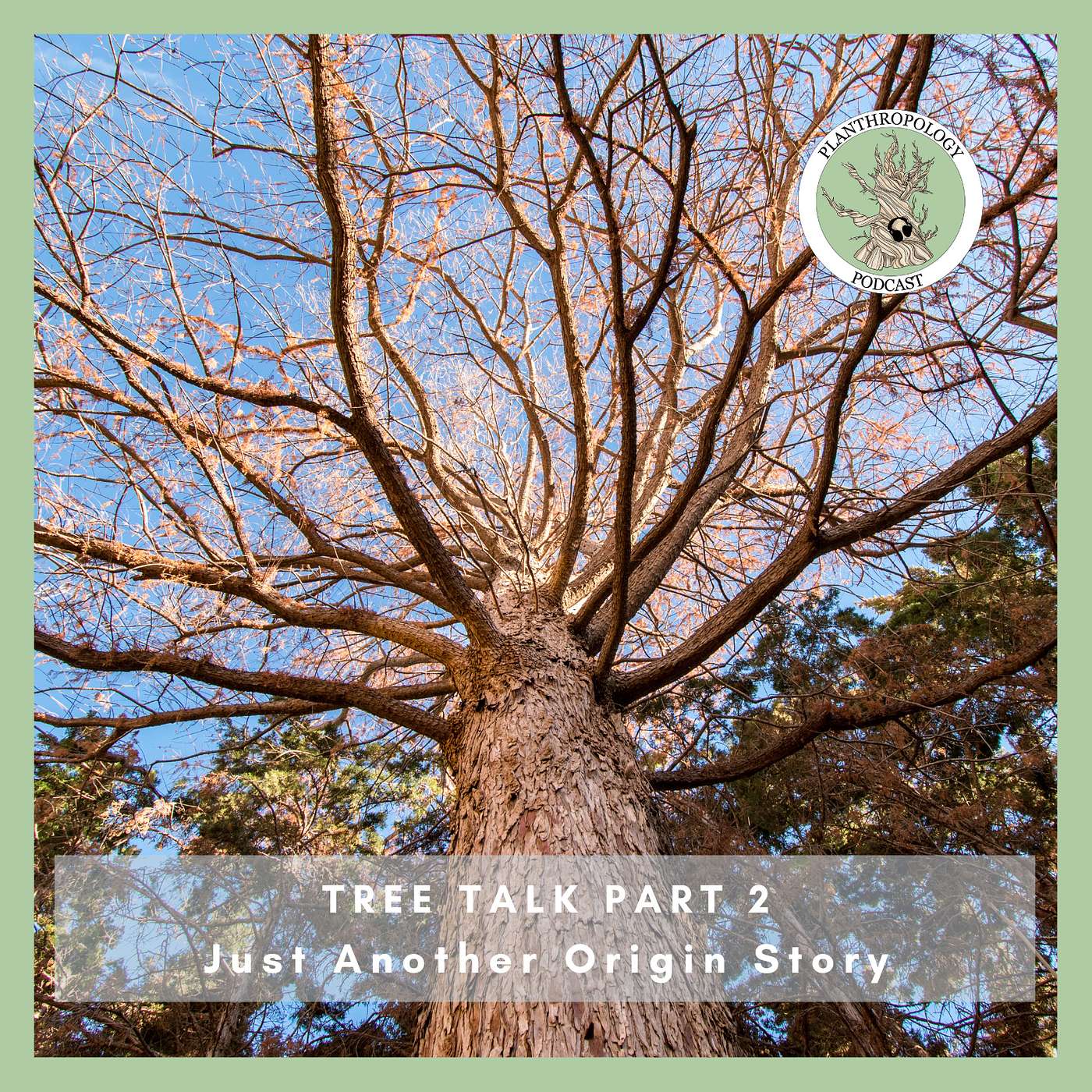 69. Tree Talk- Just Another Origin Story