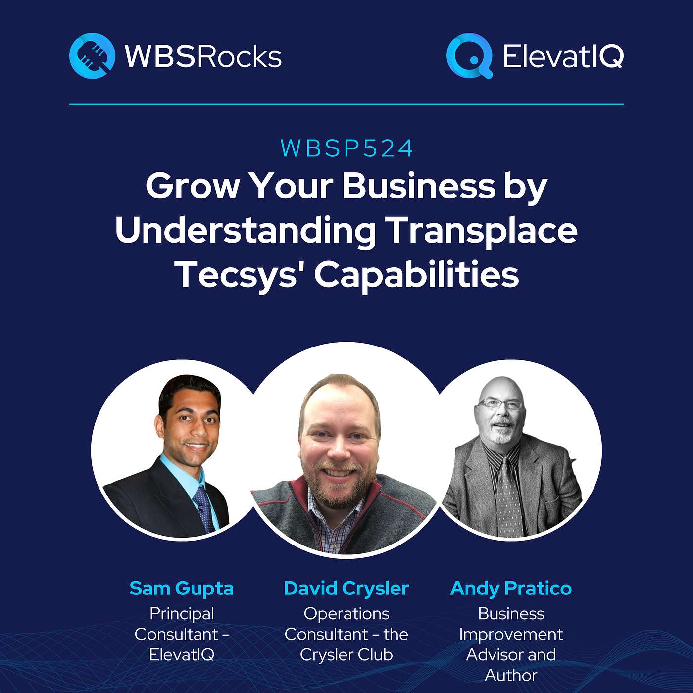 WBSP524: Grow Your Business by Understanding Tecsys' Capabilities, an Objective Panel Discussion