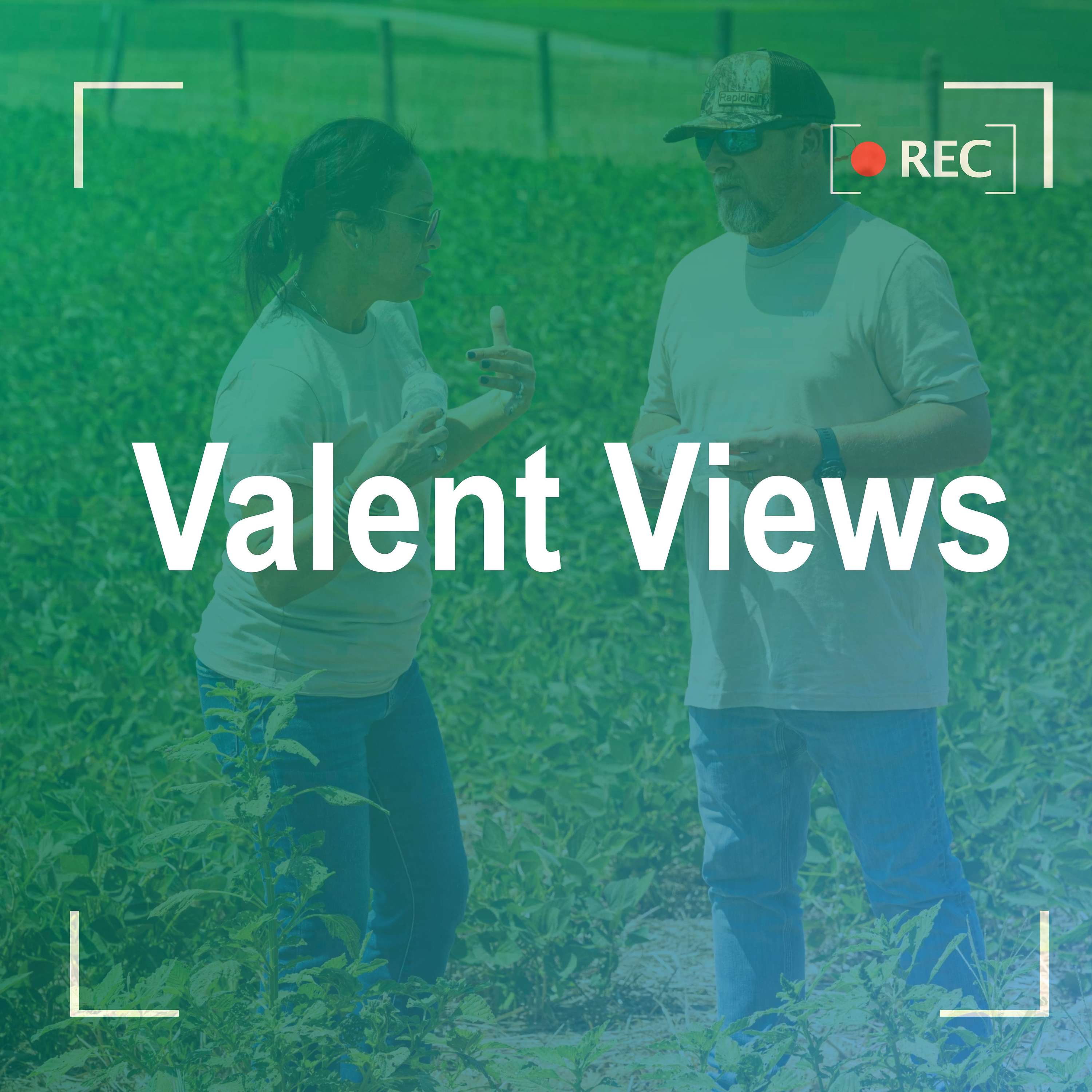 Valent Views by Valent U.S.A.