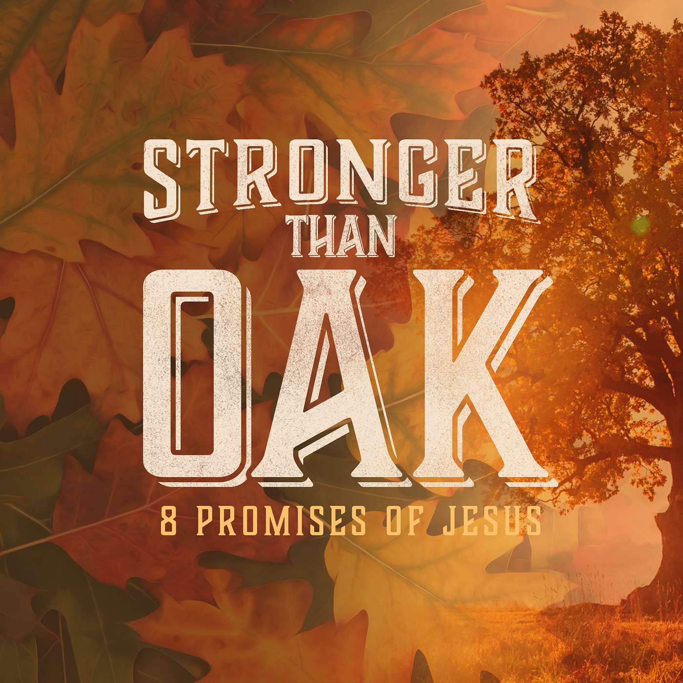 Stronger than Oak | “You can’t lose my favor.” | 1