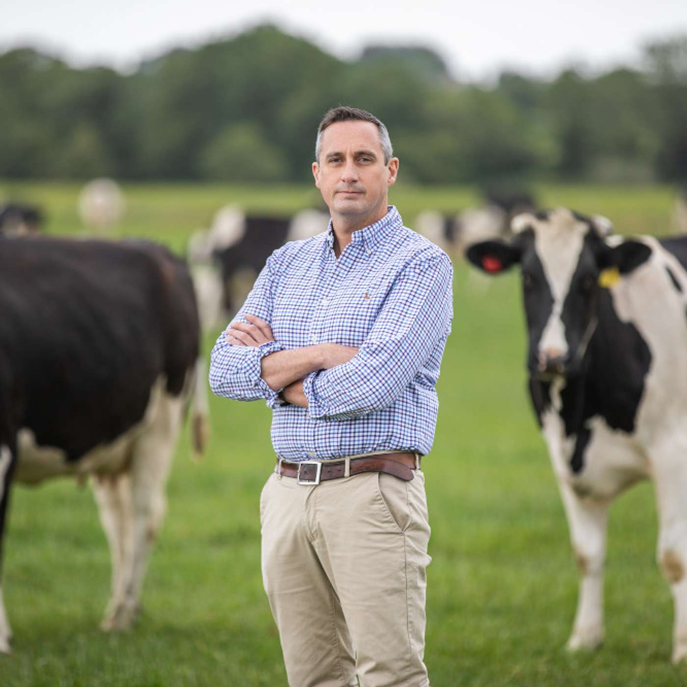 Episode 160 - Eoin Lowry, Head Of Agri Sector, Bank Of Ireland episode artwork