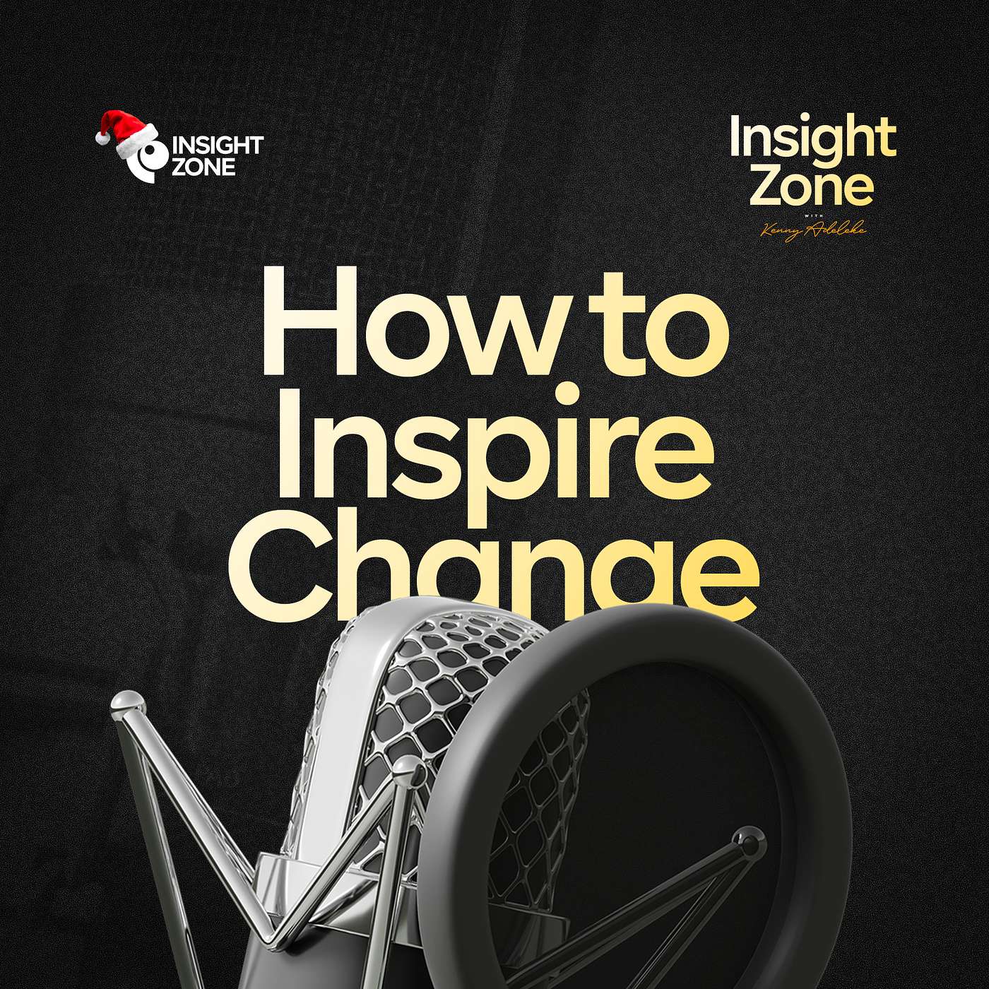 The Insight Zone with Kenny Adeleke - How to Inspire Change