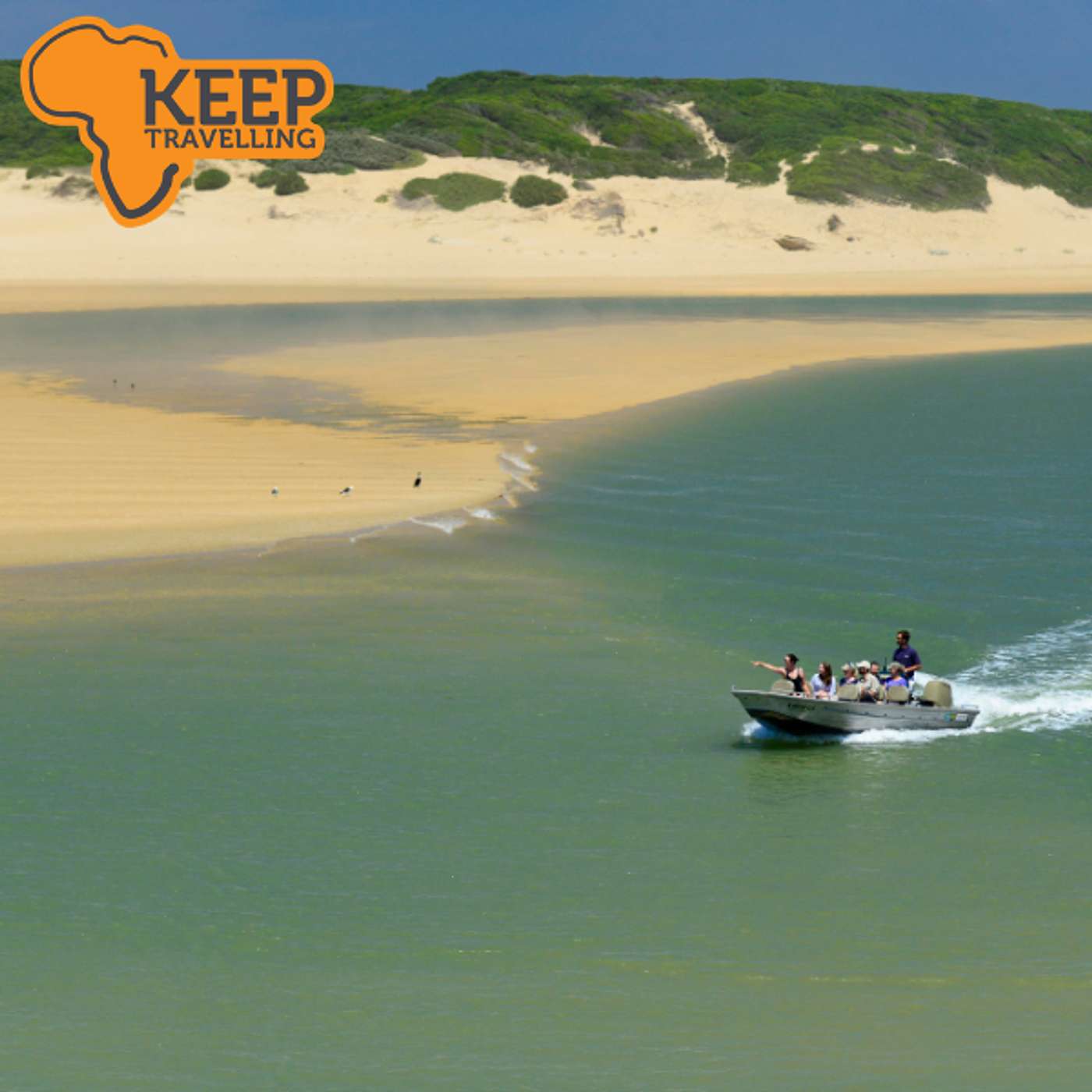 Big Five Safari, Biodiversity & Bush-to-Beach Experiences episode artwork