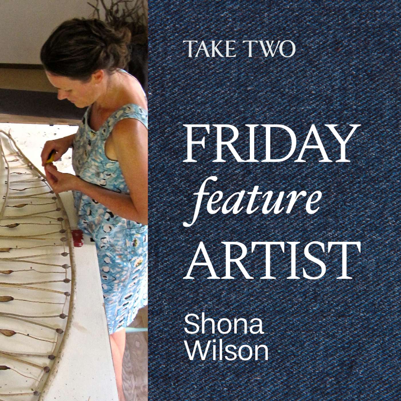From the archives: Finding wonder in the everyday with Shona Wilson episode artwork