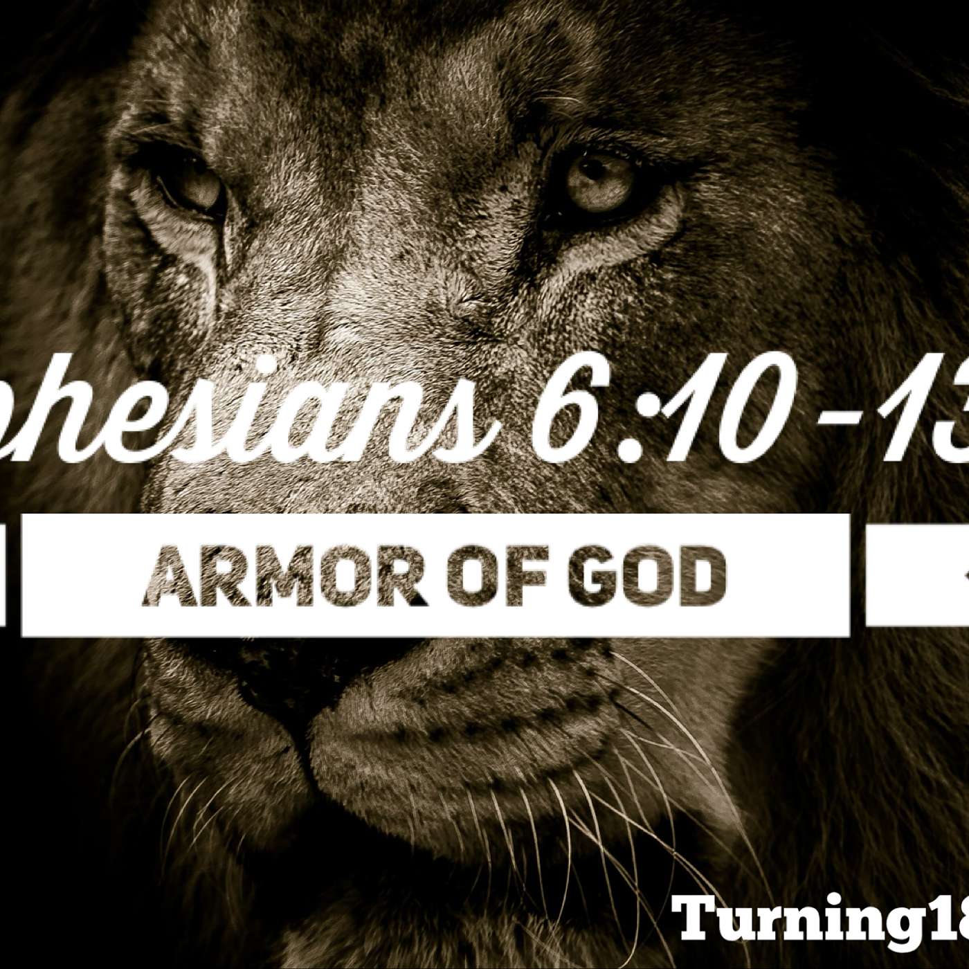 Armor of God - P