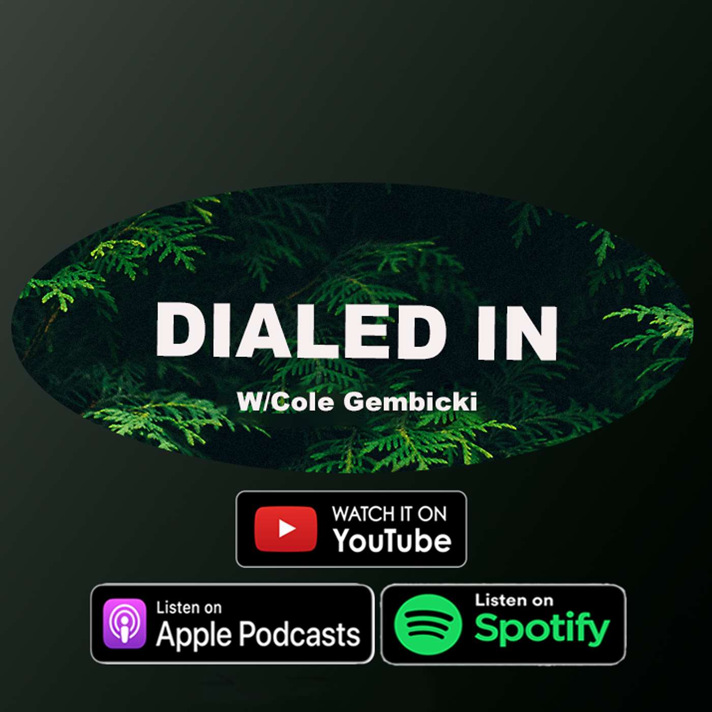 182: Your Standards Decide Your Future, Not Your Goals episode artwork