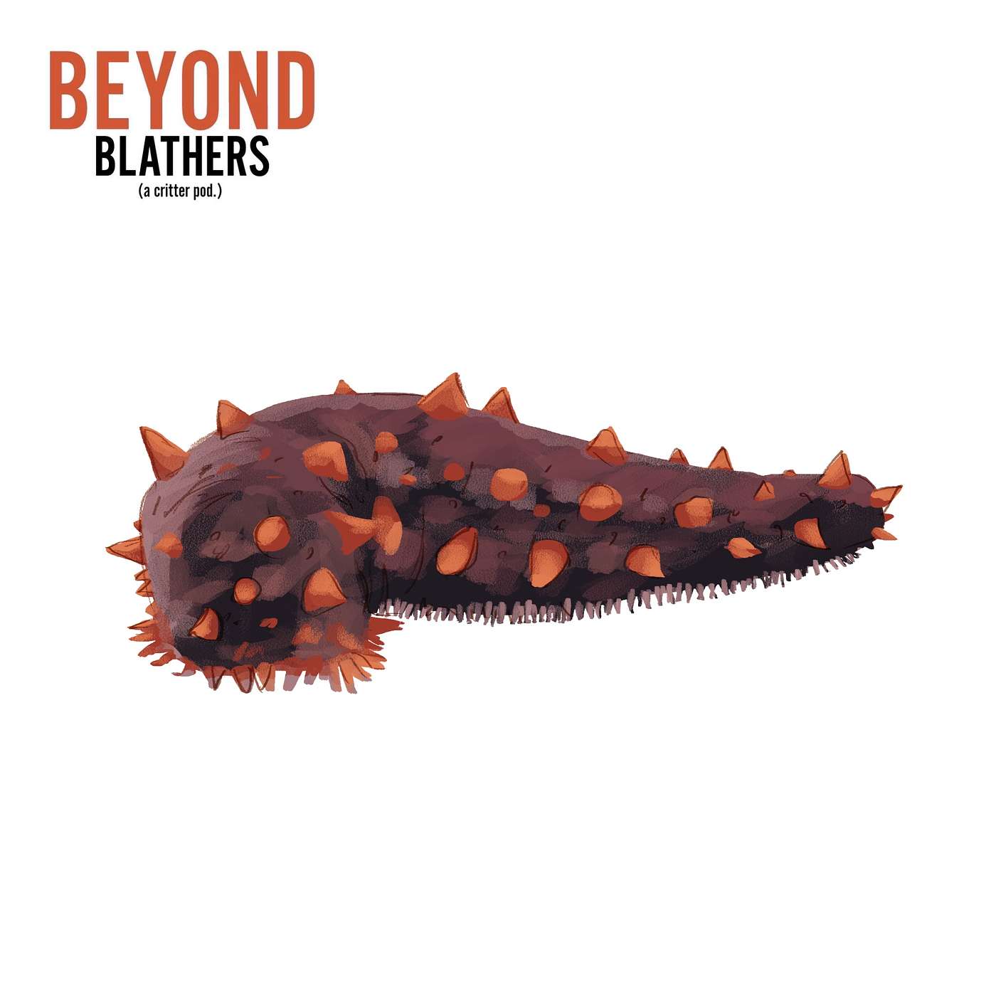 Sea Cucumber