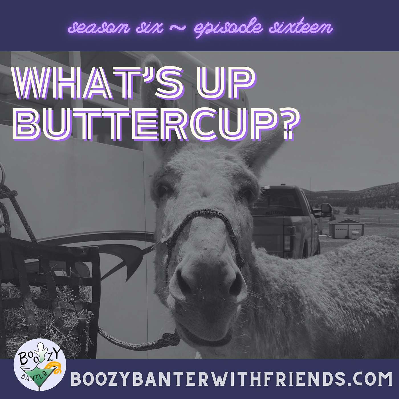 What's Up, Buttercup?