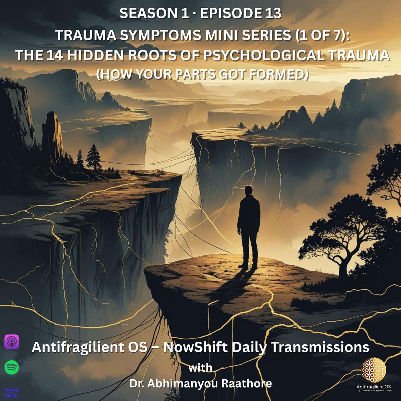 The 14 Hidden Roots of Psychological Trauma | NowShift August 10, 2025
