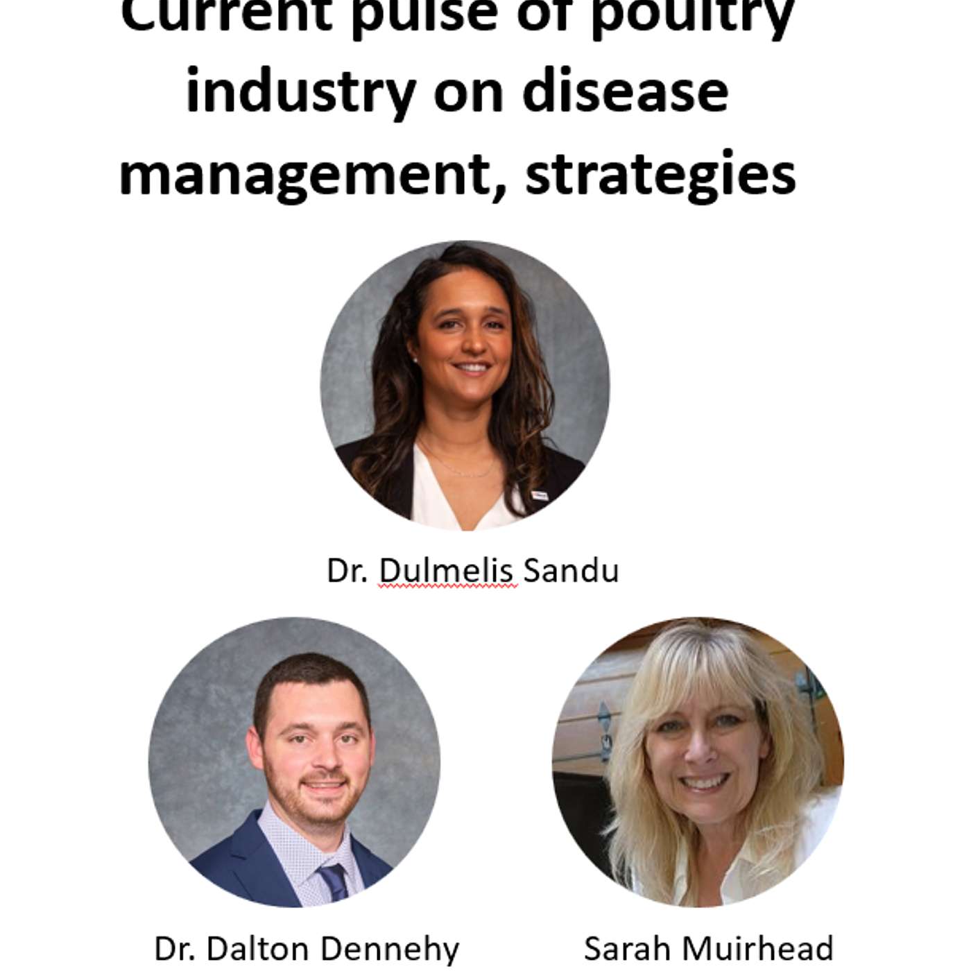 Current pulse of poultry industry on disease management, strategies