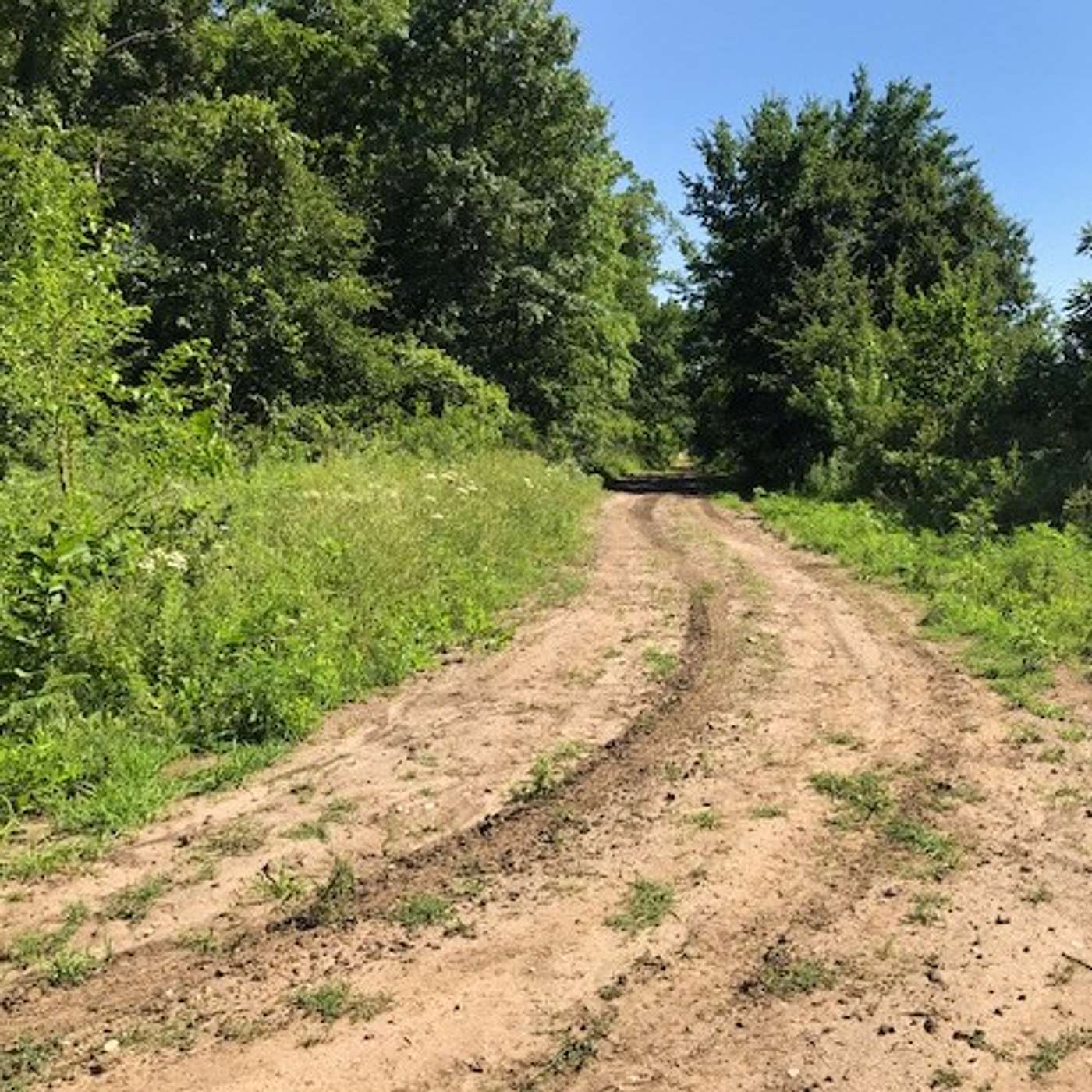 Episode 243: Country Roads