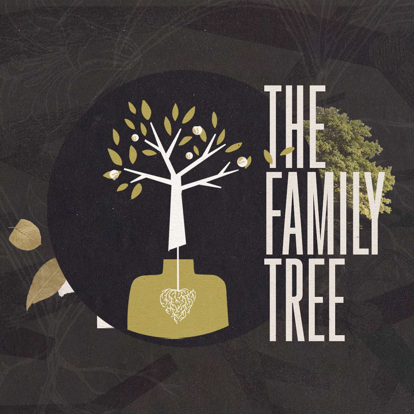 The Family Tree | Part 1: The Root That Ruins The Fruit episode artwork
