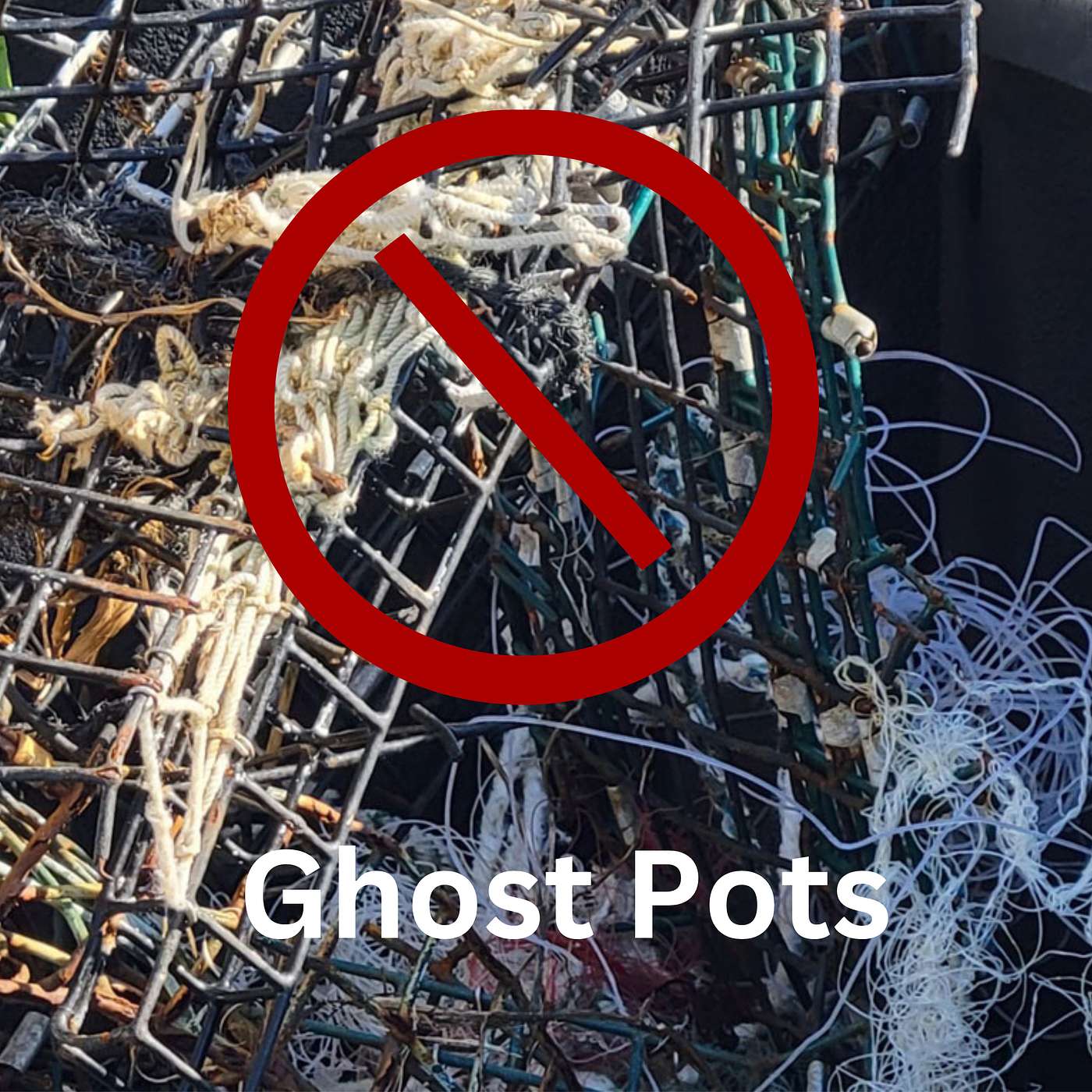 Ghost Pots Menace: Uncovering the Hidden Impact on Long Island Sound's Fishing Industry