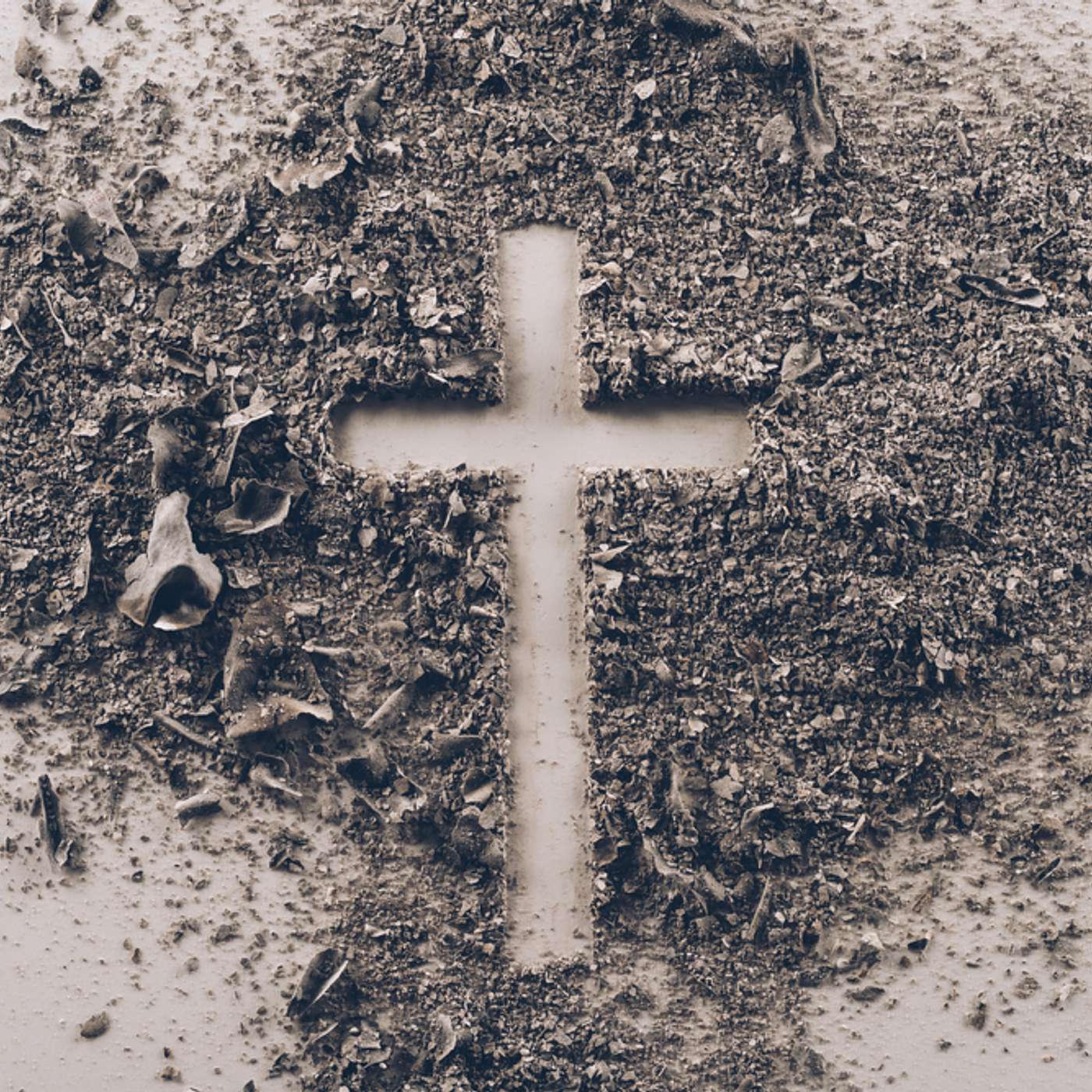2.17.21 - Ash Wednesday - Marked With the Cross episode artwork