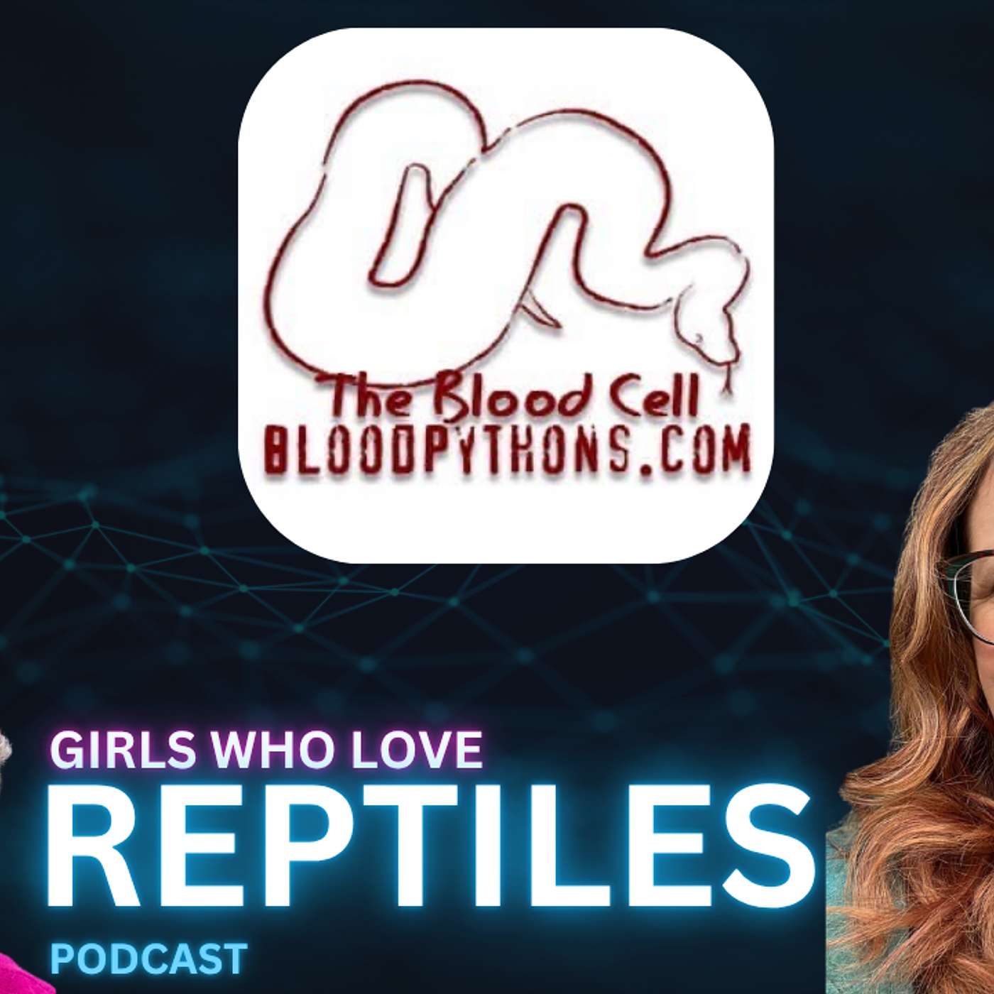 Deep Dive Into Blood Pythons | Girls Who Love Reptiles Podcast Live