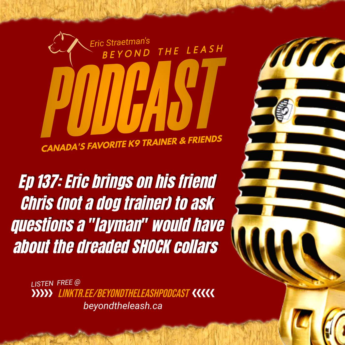 Ep 137: Eric brings on his friend Chris (not a dog trainer) to ask questions a "layman" would have about the dreaded SHOCK collars