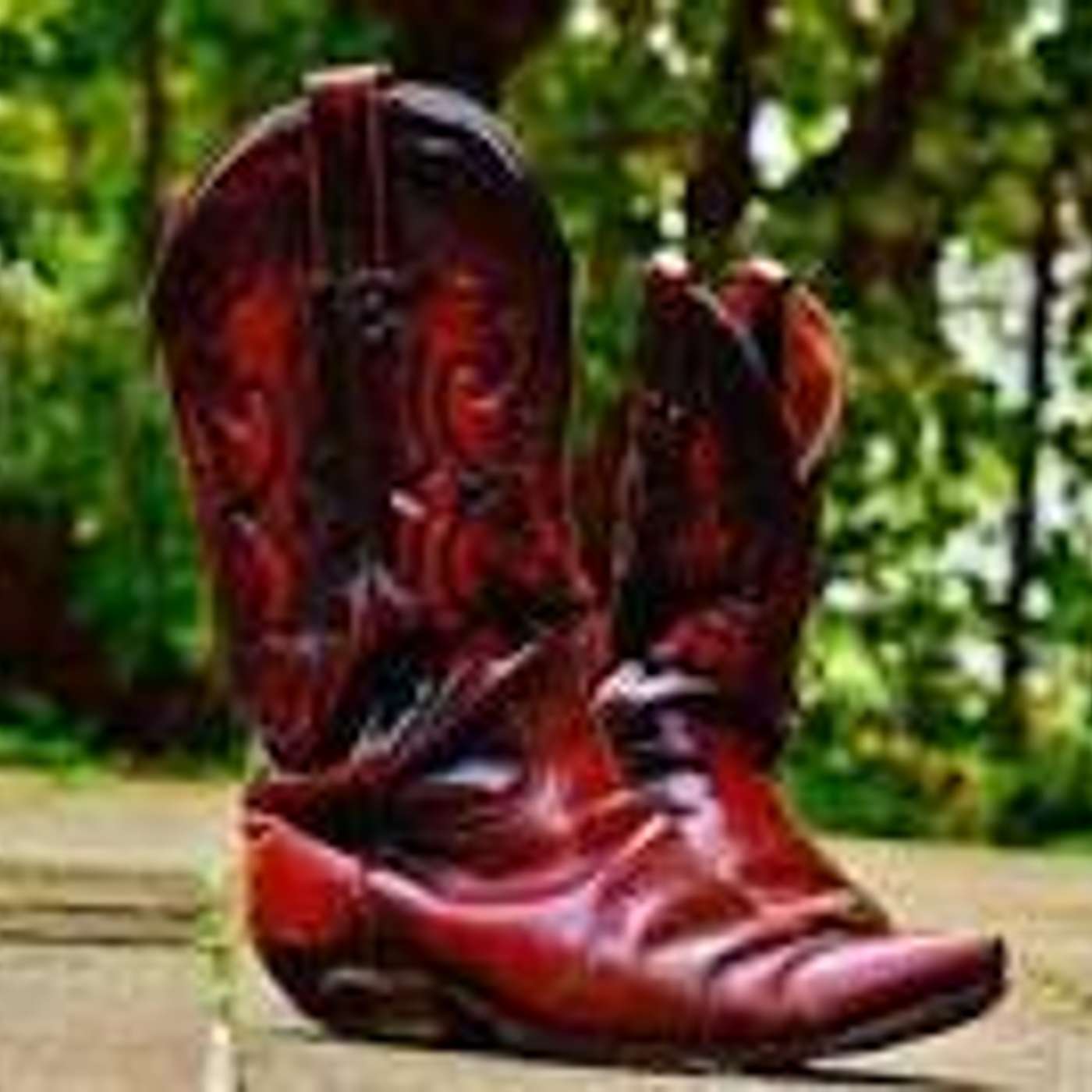 Teacher Tails - Karrer Shorts