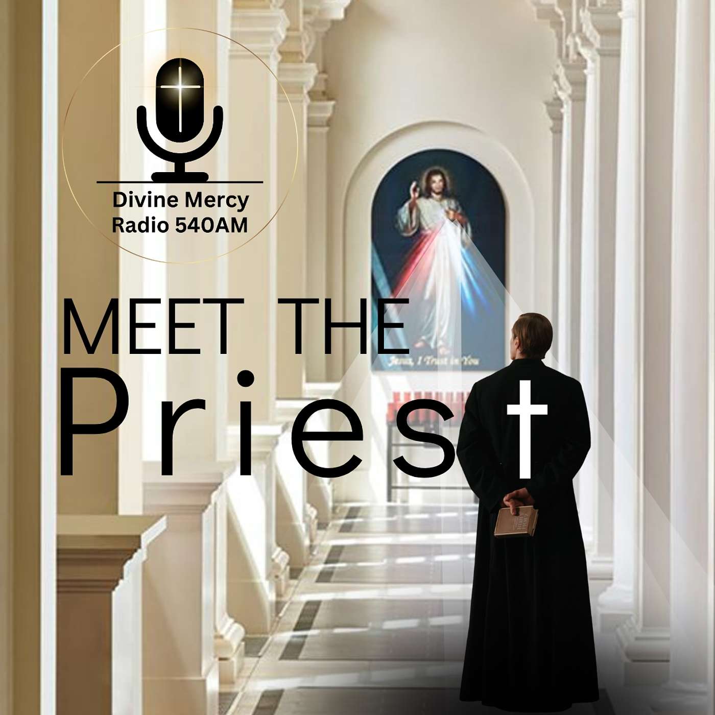 Meet the Priest - Fr. Tom Simisky of St. Raphael's Parish