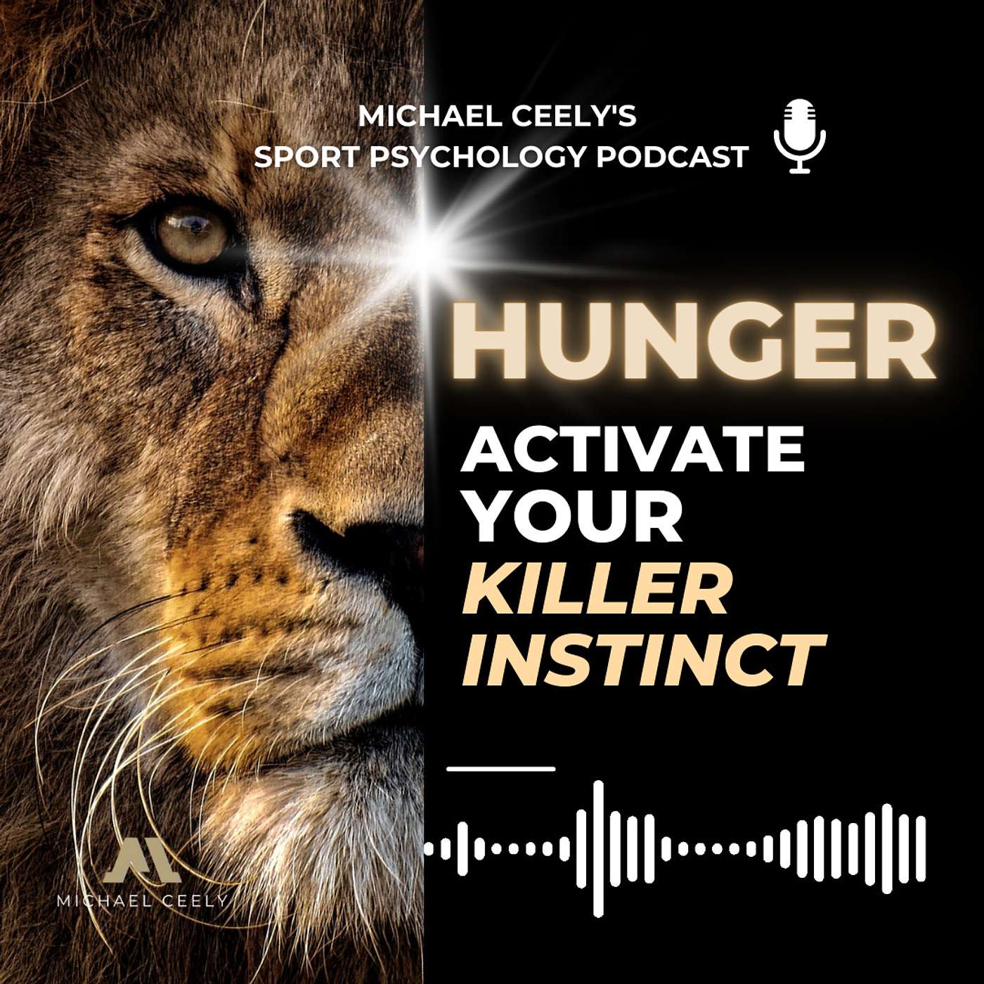 Michael Ceely\'s High Performance Podcast