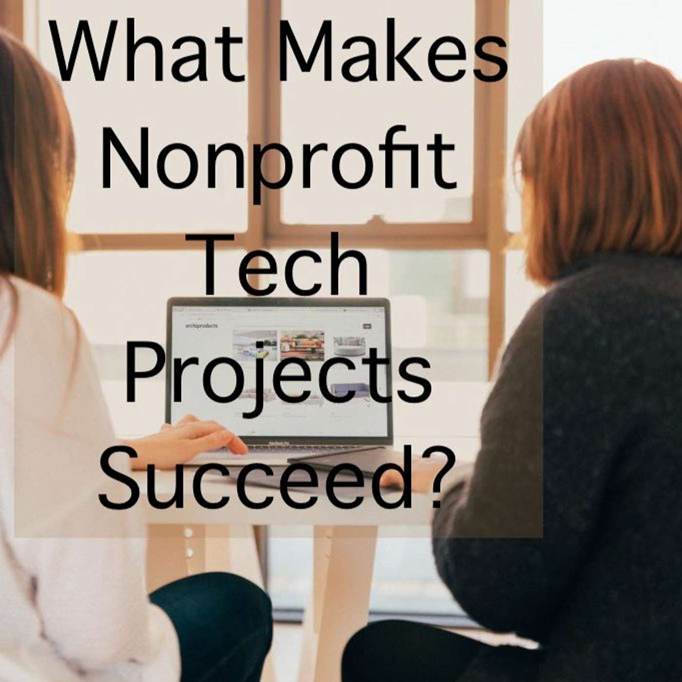What Makes Nonprofit Tech Projects Succeed Pt 2