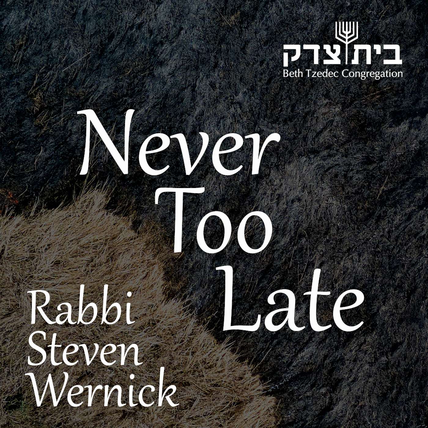 Beth Tzedec Podcasts