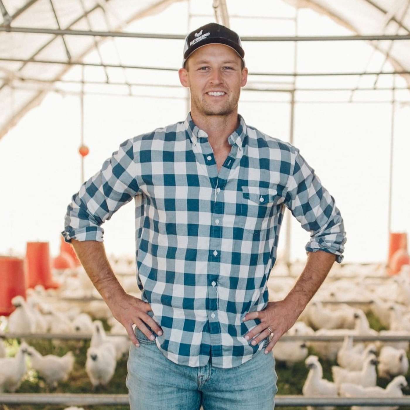 243 Paul Greive – How the biggest exit in regeneration led to millions of more chickens on pasture