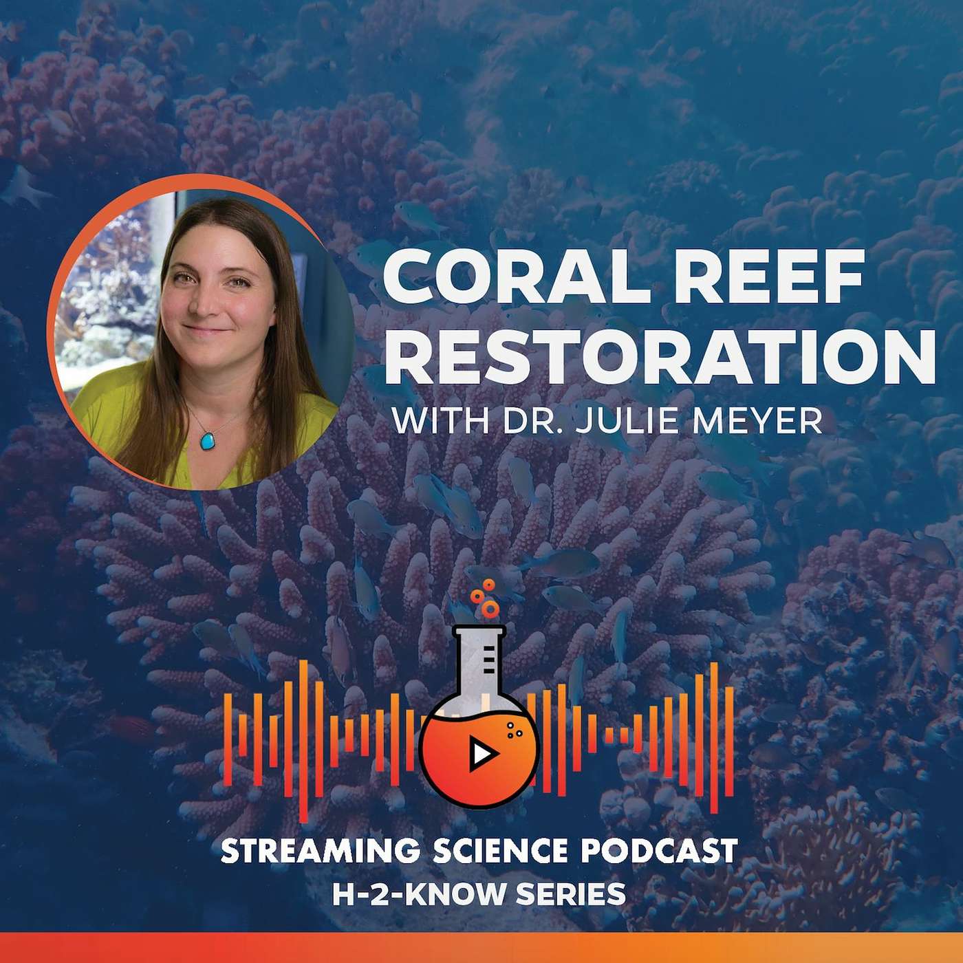 Streaming Science
