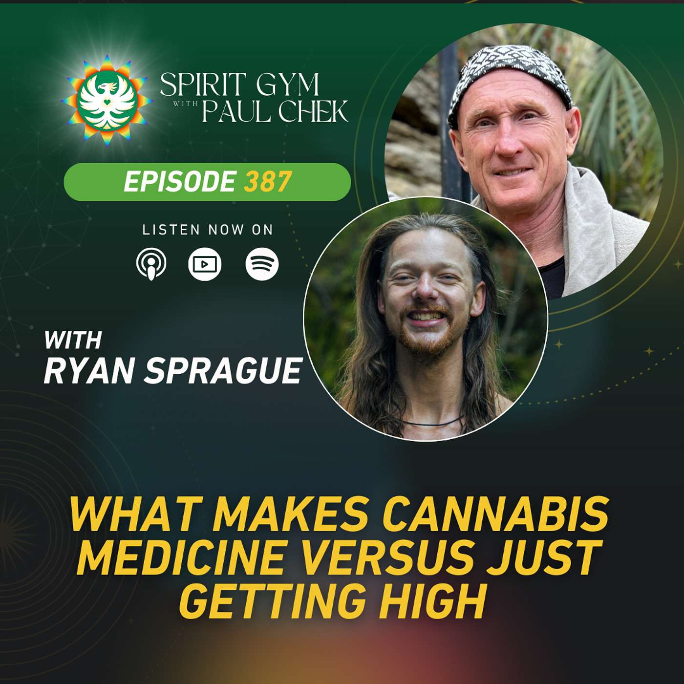 387 — What Makes Cannabis Medicine Versus Just Getting High With Ryan Sprague